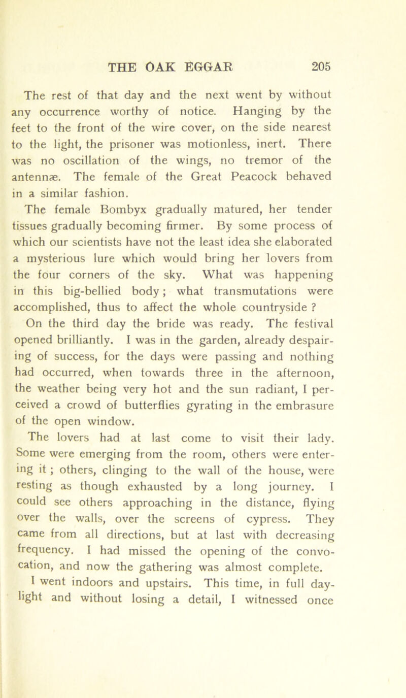 The rest of that day and the next went by without any occurrence worthy of notice. Hanging by the feet to the front of the wire cover, on the side nearest to the light, the prisoner was motionless, inert. There was no oscillation of the wings, no tremor of the antennæ. The female of the Great Peacock behaved in a similar fashion. The female Bombyx gradually matured, her tender tissues gradually becoming firmer. By some process of which our scientists hâve not the least idea she elaborated a mysterious lure which would bring her lovers from the four corners of the sky. What was happening in this big-bellied body ; what transmutations were accomplished, thus to affect the whole countryside ? On the third day the bride was ready. The festival opened brilliantly. I was in the garden, already despair - ing of success, for the days were passing and nothing had occurred, when towards three in the afternoon, the weather being very hot and the sun radiant, I per- ceived a crowd of butterflies gyrating in the embrasure of the open window. The lovers had at last corne to visit their lady. Some were emerging from the room, others were enter- ing it ; others, clinging to the wall of the house, were resting as though exhausted by a long journey. I could see others approaching in the distance, flying over the walls, over the screens of cypress. They came from ail directions, but at last with decreasing frequency. I had missed the opening of the convo- cation, and now the gathering was almost complété. I went indoors and upstairs. This time, in full day- light and without losing a detail, I witnessed once