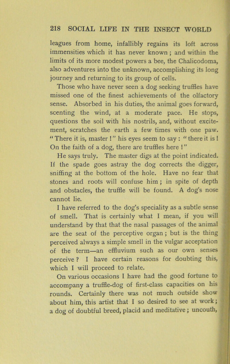 leagues from home, infallibly regains its loft across immensities which it has never known ; and within the limits of its more modest powers a bee, the Chalicodoma, also adventures into the unknown, accomplishing its long journey and returning to its group of cells. Those who hâve never seen a dog seeking truffles hâve missed one of the finest achievements of the olfactory sense. Absorbed in his duties, the animal goes forward, scenting the wind, at a moderate pace. He stops, questions the soil with his nostrils, and, without excite- ment, scratches the earth a few times with one paw. “ There it is, master ! ” his eyes seem to say : “ there it is 1 On the faith of a dog, there are truffles here ! ” He says truly. The master digs at the point indicated. If the spade goes astray the dog corrects the digger, sniffing at the bottom of the hole. Hâve no fear that stones and roots will confuse him ; in spite of depth and obstacles, the truffle will be found. A dog’s nose cannot lie. I hâve referred to the dog’s speciality as a subtle sense of smell. That is certainly what I mean, if you will understand by that that the nasal passages of the animal are the seat of the perceptive organ ; but is the thing perceived always a simple smell in the vulgar acceptation of the term—an effluvium such as our own senses perceive ? I hâve certain reasons for doubting this, which I will proceed to relate. On various occasions I hâve had the good fortune to accompany a truffle-dog of first-class capacities on his rounds. Certainly there was not much outside show about him, this artist that I so desired to see at work ; a dog of doubtful breed, placid and méditative ; uncouth,