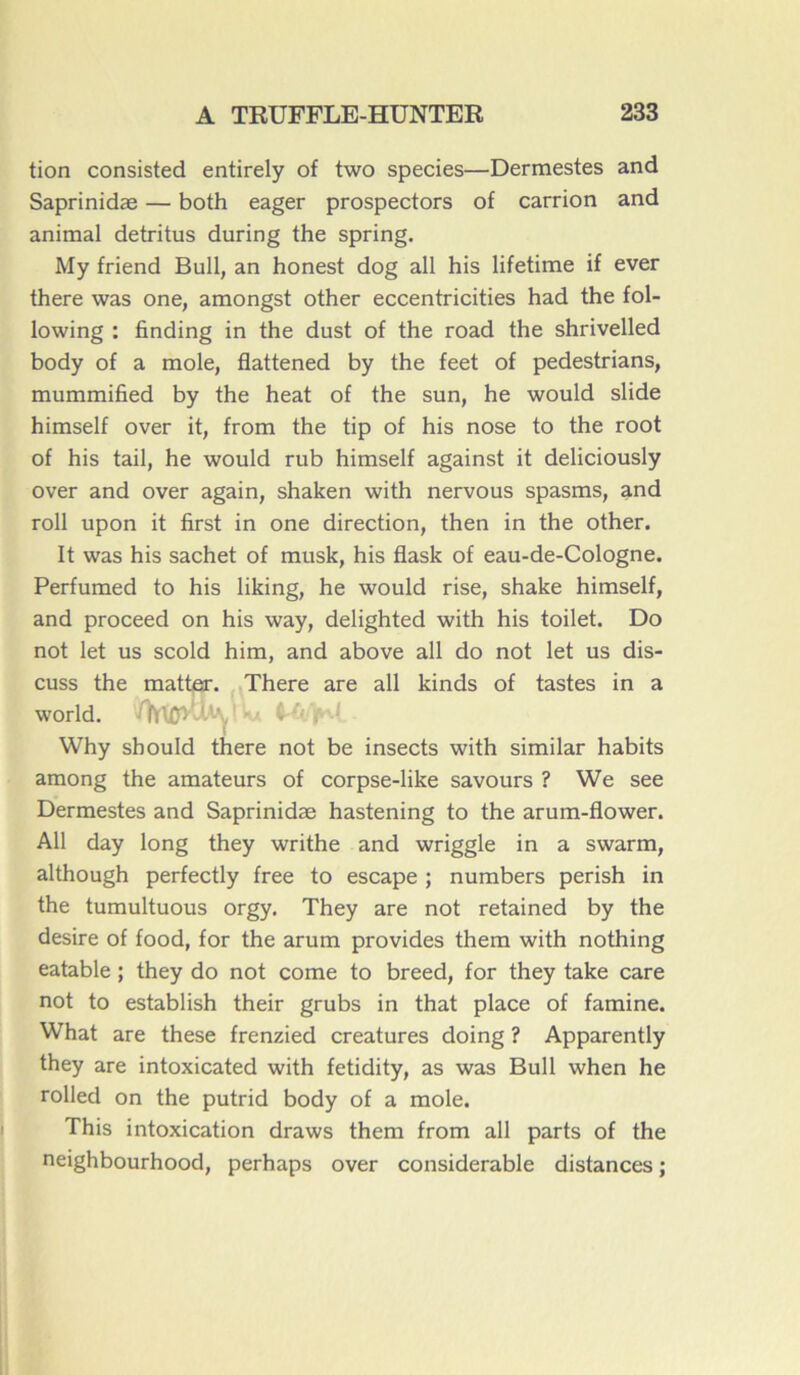 tion consistée! entirely of two species—Dermestes and Saprinidæ — both eager prospectors of carrion and animal détritus during the spring. My friend Bull, an honest dog ail his lifetime if ever there was one, amongst other eccentricities had the fol- lowing : finding in the dust of the road the shrivelled body of a mole, flattened by the feet of pedestrians, mummified by the heat of the sun, he would slide himself over it, from the tip of his nose to the root of his tail, he would rub himself against it deliciously over and over again, shaken with nervous spasms, and roll upon it first in one direction, then in the other. It was his sachet of musk, his flask of eau-de-Cologne. Perfumed to his liking, he would rise, shake himself, and proceed on his way, delighted with his toilet. Do not let us scold him, and above ail do not let us dis- cuss the matter. There are ail kinds of tastes in a world. MO* ! C ' , Why should there not be insects with similar habits among the amateurs of corpse-like savours ? We see Dermestes and Saprinidæ hastening to the arum-flower. Ail day long they writhe and wriggle in a swarm, although perfectly free to escape ; numbers perish in the tumultuous orgy. They are not retained by the desire of food, for the arum provides them with nothing eatable ; they do not corne to breed, for they take care not to establish their grubs in that place of famine. What are these frenzied créatures doing ? Apparently they are intoxicated with fetidity, as was Bull when he rolled on the putrid body of a mole. This intoxication draws them from ail parts of the neighbourhood, perhaps over considérable distances ;