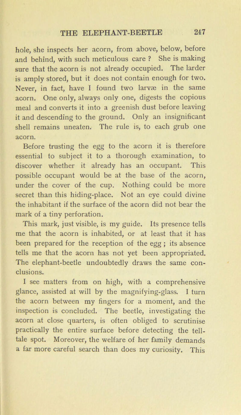 hole, she inspects her acorn, from above, below, before and behind, with such metieulous care ? She is making sure that the acorn is not already occupied. The larder is amply stored, but it does not contain enough for two. Never, in fact, hâve I found two larvæ in the same acorn. One only, always only one, digests the copious meal and converts it into a greenish dust before leaving it and descending to the ground. Only an insignificant shell remains uneaten. The rule is, to each grub one acorn. Before trusting the egg to the acorn it is therefore essential to subject it to a thorough examination, to discover whether it already has an occupant. This possible occupant would be at the base of the acorn, under the cover of the cup. Nothing could be more secret than this hiding-place. Not an eye could divine the inhabitant if the surface of the acorn did not bear the mark of a tiny perforation. This mark, just visible, is my guide. Its presence tells me that the acorn is inhabited, or at least that it has been prepared for the réception of the egg ; its absence tells me that the acorn has not yet been appropriated. The elephant-beetle undoubtedly draws the same con- clusions. I see matters from on high, with a comprehensive glance, assisted at will by the magnifying-glass. I turn the acorn between my Angers for a moment, and the inspection is concluded. The beetle, investigating the acorn at close quarters, is often obliged to scrutinise practically the entire surface before detecting the tell- tale spot. Moreover, the welfare of her family demands a far more careful search than does my curiosity. This