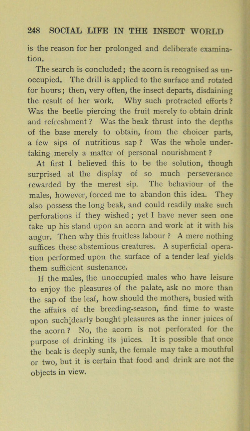 is the reason for her prolongée! and deliberate examina- tion. The search is concluded; the acorn is recognised as un- occupied. The drill is applied to the surface and rotated for hours ; then, very often, the insect départs, disdaining the resuit of her work. Why such protracted efforts ? Was the beetle piercing the fruit merely to obtain drink and refreshment ? Was the beak thrust into the depths of the base merely to obtain, from the choicer parts, a few sips of nutritious sap ? Was the whole under- taking merely a matter of personal nourishment ? At first I believed this to be the solution, though surprised at the display of so much perseverance rewarded by the merest sip. The behaviour of the males, however, forced me to abandon this idea. They also possess the long beak, and could readily make such perforations if they wished ; yet I hâve never seen one take up his stand upon an acorn and work at it with his augur. Then why this fruitless labour ? A mere nothing sufïices these abstemious créatures. A superficial opera- tion performed upon the surface of a tender leaf yields them sufficient sustenance. If the males, the unoccupied males who hâve leisure to enjoy the pleasures of the palate, ask no more than the sap of the leaf, how should the mothers, busied with the affairs of the breeding-season, find time to waste upon suclTdearly bought pleasures as the inner juices of the acorn ? No, the acorn is not perforated for the purpose of drinking its juices. It is possible that once the beak is deeply sunk, the female may take a mouthful or two, but it is certain that food and drink are not the objects in view.
