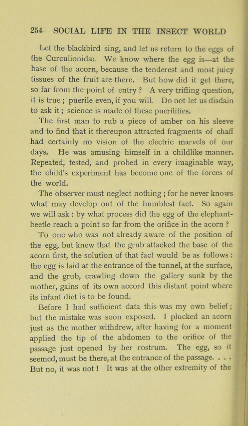 Let the blackbird sing, and let us return to the eggs of the Curculionidæ. We know where the egg is—at the base of the acorn, because the tenderest and most juicy tissues of the fruit are there. But how did it get there, so far from the point of entry ? A very trifling question, it is true ; puerile even, if you will. Do not let us disdain to ask it ; science is made of these puerilities. The first man to rub a piece of amber on his sleeve and to find that it thereupon attracted fragments of chaff had certainly no vision of the electric marvels of our days. He was amusing himself in a childlike manner. Repeated, tested, and probed in every imaginable way, the child’s experiment has become one of the forces of the world. The observer must neglect nothing ; for he never knows what may develop out of the humblest fact. So again we will ask : by what process did the egg of the elephant- beetle reach a point so far from the orifice in the acorn ? To one who was not already aware of the position of the egg, but knew that the grub attacked the base of the acorn first, the solution of that fact would be as follows : the egg is laid at the entrance of the tunnel, at the surface, and the grub, crawling down the gallery sunk by the mother, gains of its own accord this distant point where its infant diet is to be found. Before I had sufficient data this was my own belief ; but the mistake was soon exposed. I plucked an acorn just as the mother withdrew, after having for a moment applied the tip of the abdomen to the orifice of the passage just opened by her rostrum. The egg, so it seemed, must be there, at the entrance of the passage. . . . But no, it was not ! It was at the other extreraity of the