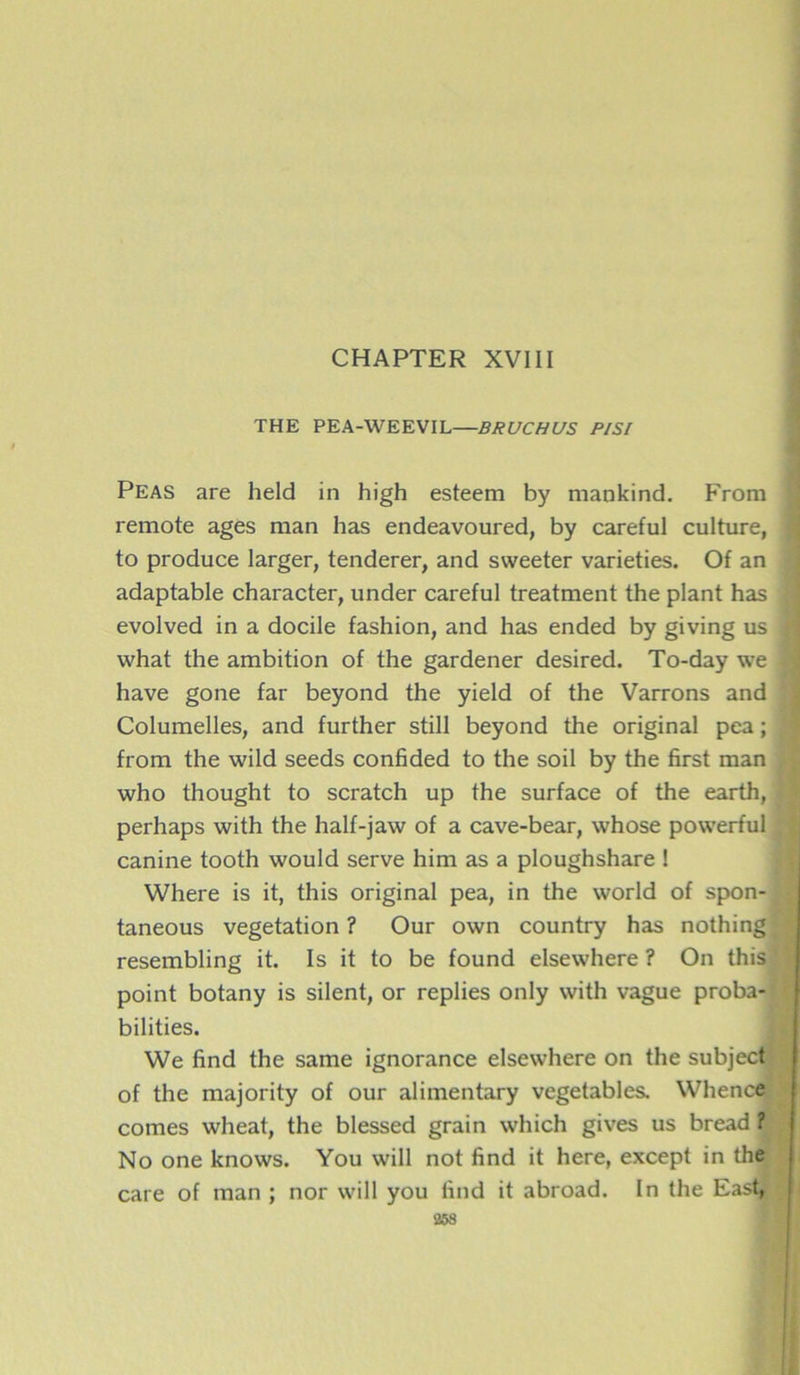 CHAPTER XVIII THE PEA-WEEVIL—BRUCHUS PISI Peas are held in high esteem by mankind. From remote âges man has endeavoured, by careful culture, to produce larger, tenderer, and svveeter varieties. Of an adaptable character, under careful treatment the plant has evolved in a docile fashion, and has ended by giving us what the ambition of the gardener desired. To-day we hâve gone far beyond the yield of the Varrons and Columelles, and further still beyond the original pea ; from the wild seeds confided to the soil by the first man who thought to scratch up the surface of the earth, perhaps with the half-jaw of a cave-bear, whose powerful canine tooth would serve him as a ploughshare ! Where is it, this original pea, in the world of spon- taneous végétation ? Our own country has nothing resembling it. Is it to be found elsewhere ? On this point botany is silent, or replies only with vague proba- bilités. We find the same ignorance elsewhere on the subject of the majority of our alimentary vegetables. Whence cornes wheat, the blessed grain which gives us bread fe No one knows. You will not find it here, except in the care of man ; nor will you find it abroad. In the East^