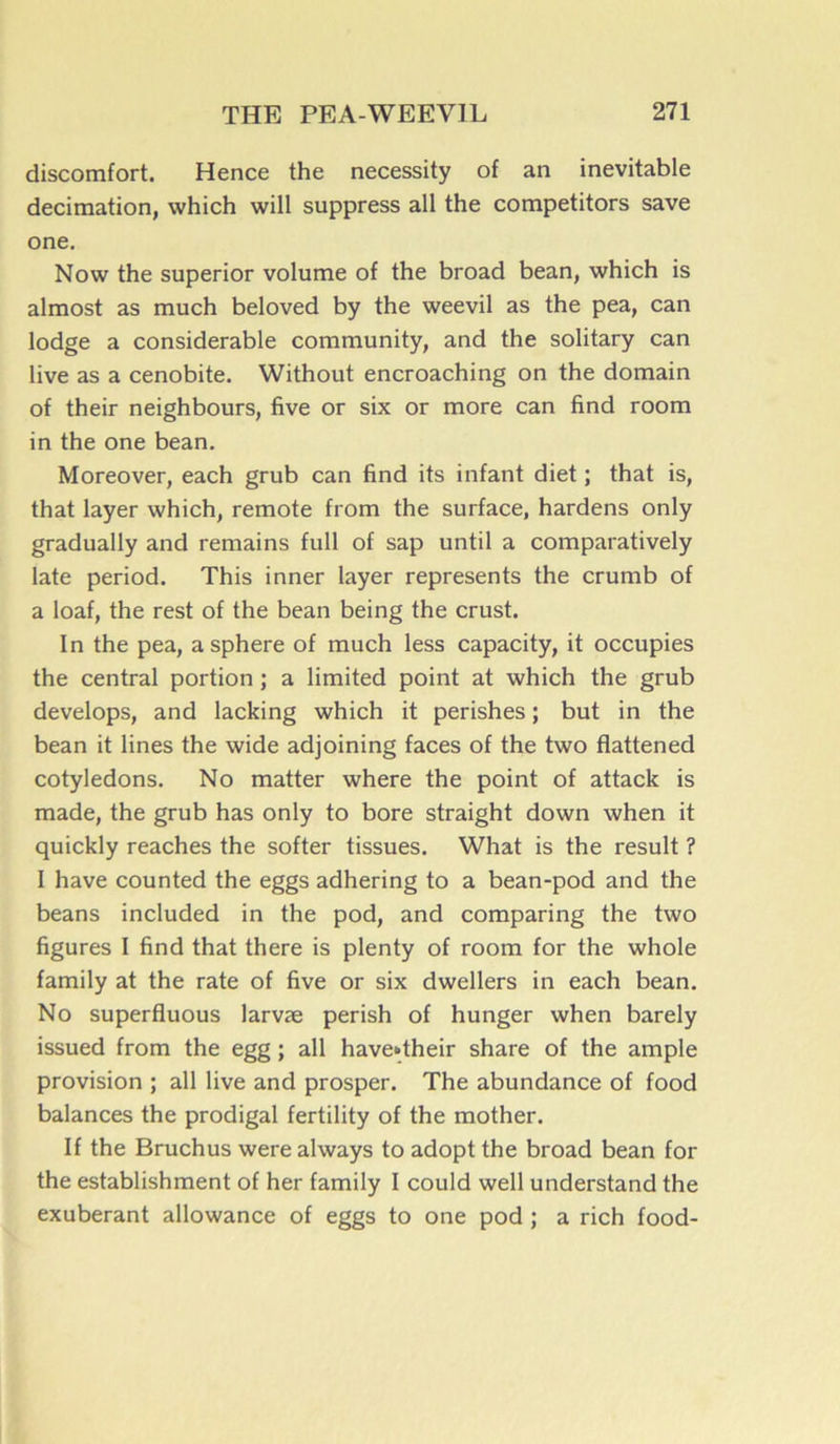 discomfort. Hence the necessity of an inévitable décimation, which will suppress ail the competitors save one. Now the superior volume of the broad bean, which is almost as much beloved by the weevil as the pea, can lodge a considérable community, and the solitary can live as a cenobite. Without encroaching on the domain of their neighbours, five or six or more can find room in the one bean. Moreover, each grub can find its infant diet ; that is, that layer which, remote from the surface, hardens only gradually and remains full of sap until a comparatively late period. This inner layer represents the crumb of a loaf, the rest of the bean being the crust. In the pea, a sphere of much less capacity, it occupies the central portion ; a limited point at which the grub develops, and lacking which it perishes ; but in the bean it fines the wide adjoining faces of the two flattened cotylédons. No matter where the point of attack is made, the grub has only to bore straight down when it quickly reaches the softer tissues. What is the resuit ? I hâve counted the eggs adhering to a bean-pod and the beans included in the pod, and comparing the two figures I find that there is plenty of room for the whole family at the rate of five or six dwellers in each bean. No superfluous larvæ perish of hunger when barely issued from the egg ; ail have»their share of the ample provision ; ail five and prosper. The abundance of food balances the prodigal fertility of the mother. If the Bruchus were always to adopt the broad bean for the establishment of her family I could well understand the exubérant allowance of eggs to one pod ; a rich food-