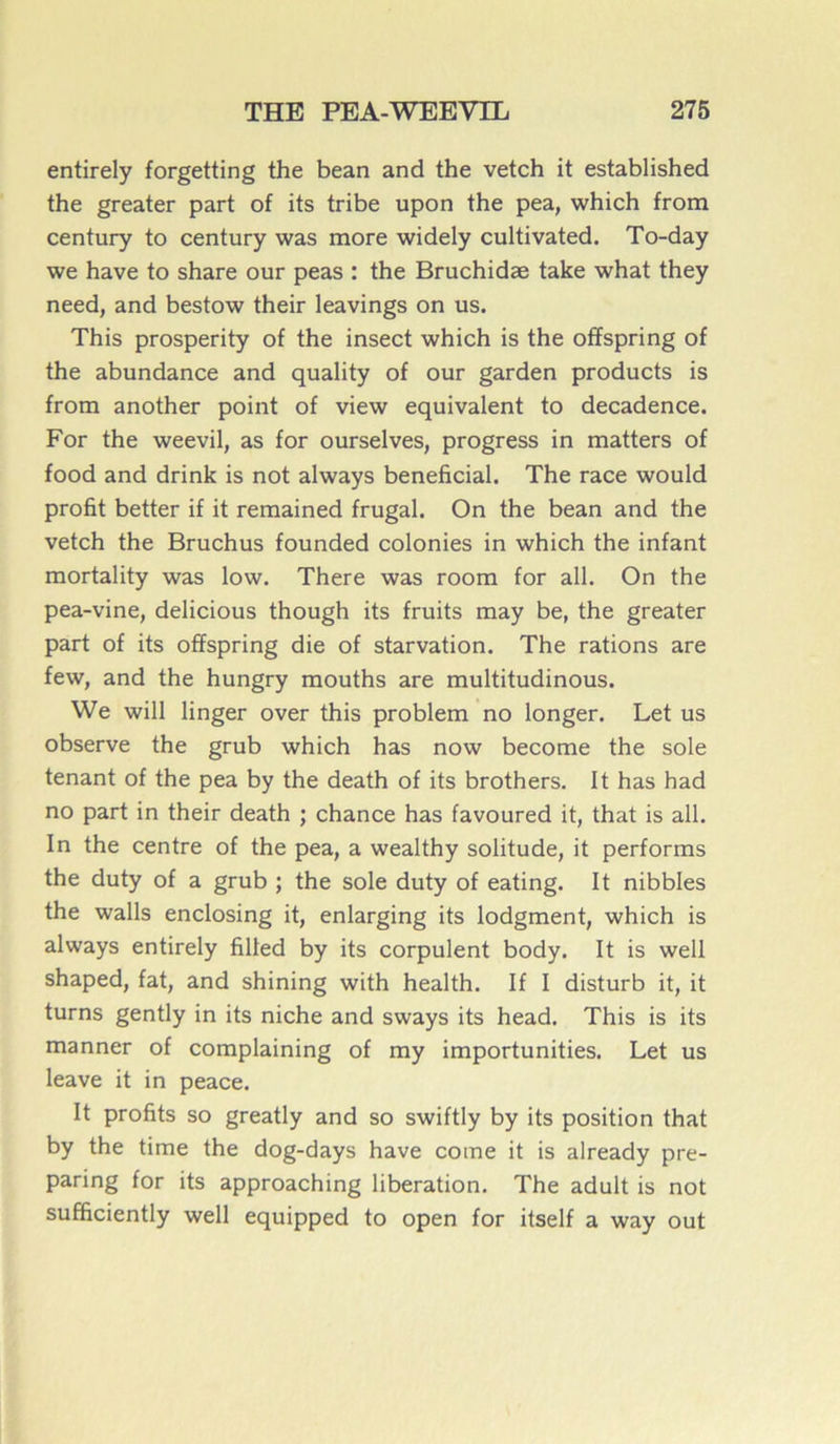 entirely forgetting the bean and the vetch it established the greater part of its tribe upon the pea, which from century to century was more widely cultivated. To-day we hâve to share our peas : the Bruchidæ take what they need, and bestow their leavings on us. This prosperity of the insect which is the offspring of the abundance and quality of our garden products is from another point of view équivalent to decadence. For the weevil, as for ourselves, progress in matters of food and drink is not always bénéficiai. The race would profit better if it remained frugal. On the bean and the vetch the Bruchus founded colonies in which the infant mortality was low. There was room for ail. On the pea-vine, delicious though its fruits may be, the greater part of its offspring die of starvation. The rations are few, and the hungry mouths are multitudinous. We will linger over this problem no longer. Let us observe the grub which has now become the sole tenant of the pea by the death of its brothers. It has had no part in their death ; chance has favoured it, that is ail. In the centre of the pea, a wealthy solitude, it performs the duty of a grub ; the sole duty of eating. It nibbles the walls enclosing it, enlarging its lodgment, which is always entirely filled by its corpulent body. It is well shaped, fat, and shining with health. If I disturb it, it turns gently in its niche and sways its head. This is its manner of complaining of my importunities. Let us leave it in peace. It profits so greatly and so swiftly by its position that by the time the dog-days hâve corne it is already pre- paring for its approaching libération. The adult is not sufficiently well equipped to open for itself a way out