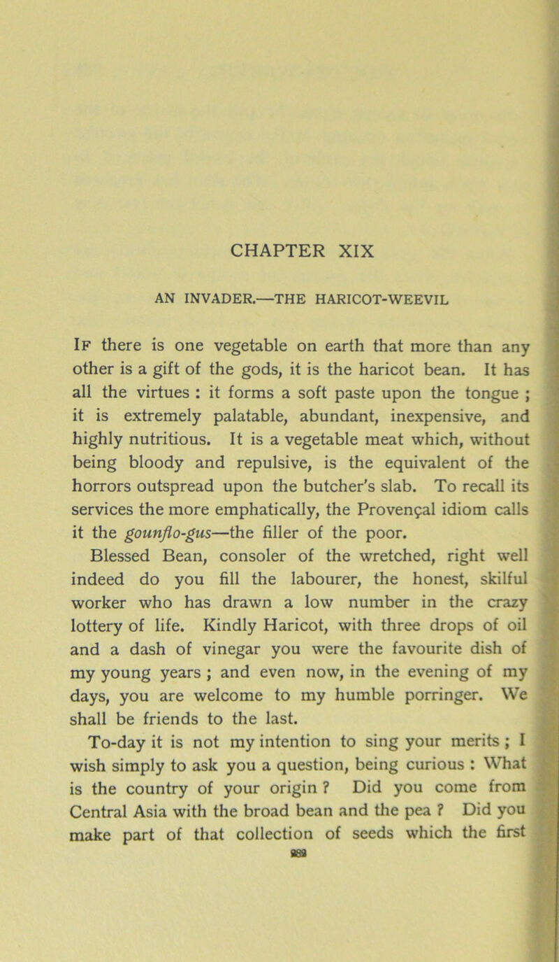 CHAPTER XIX AN INVADER.—THE HARICOT-WEEVIL If there is one vegetable on earth that more than any other is a gift of the gods, it is the haricot bean. It has ail the virtues : it forms a soft paste upon the tongue ; it is extremely palatable, abundant, inexpensive, and highly nutritious. It is a vegetable méat which, without being bloody and répulsive, is the équivalent of the horrors outspread upon the butcher's slab. To recall its services the more emphatically, the Provençal idiom calls it the gounflo-gus—the Aller of the poor. Blessed Bean, consoler of the wretched, right well indeed do you fill the labourer, the honest, skilful worker who has drawn a low number in the crazy lottery of life. Kindly Haricot, with three drops of oil and a dash of vinegar you were the favourite dish of my young years ; and even now, in the evening of my days, you are welcome to my humble porringer. We shall be friends to the last. To-day it is not my intention to sing your merits ; I wish simply to ask you a question, being curious : What is the country of your origin ? Did you corne from Central Asia with the broad bean and the pea ? Did you make part of that collection of seeds which the first 889