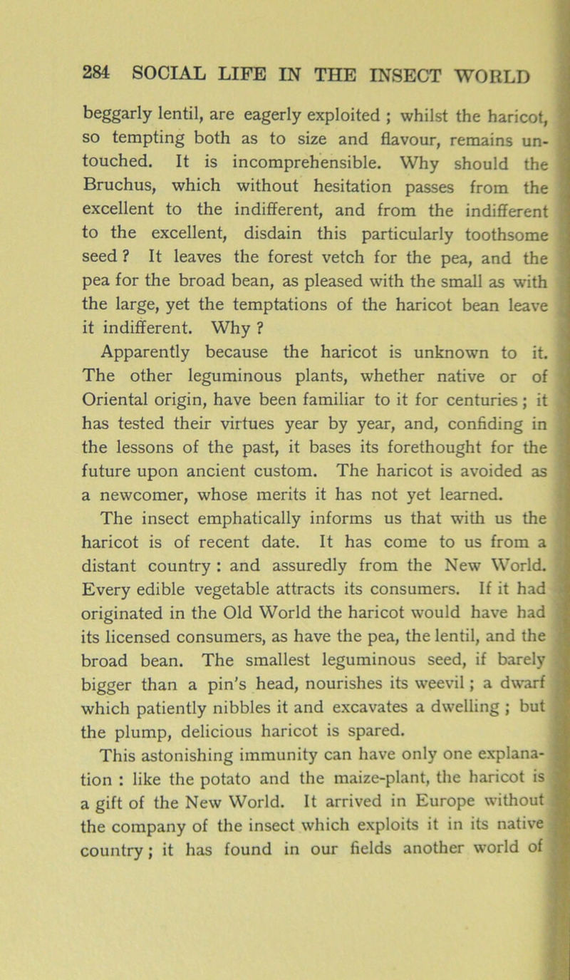 beggarly lentil, are eagerly exploited ; whilst the haricot, \ so tempting both as to size and flavour, remains un- touched. It is incompréhensible. Why should the ] Bruchus, which without hésitation passes from the excellent to the indifferent, and from the indifferent ; to the excellent, disdain this particularly toothsome : seed ? It leaves the forest vetch for the pea, and the < pea for the broad bean, as pleased with the small as with t the large, yet the temptations of the haricot bean leave it indifferent. Why ? Apparently because the haricot is unknown to it. The other leguminous plants, whether native or of ■ Oriental origin, hâve been familiar to it for centuries ; it has tested their virtues year by year, and, confiding in ' the lessons of the past, it bases its forethought for the future upon ancient custom. The haricot is avoided as a newcomer, whose merits it has not yet learned. The insect emphatically informs us that with us the haricot is of recent date. It has corne to us from a distant country : and assuredly from the New World. v Every edible vegetable attracts its consumers. If it had i originated in the Old World the haricot would hâve had : its licensed consumers, as hâve the pea, the lentil, and the | broad bean. The smallest leguminous seed, if barely ' bigger than a pin's head, nourishes its weevil ; a dwarf î which patiently nibbles it and excavates a dwelling ; but !, the plump, delicious haricot is spared. This astonishing immunity can hâve only one explana- | tion : like the potato and the maize-plant, the haricot is | a gift of the New World. It arrived in Europe without 1 the company of the insect which exploits it in its native 1 country ; it has found in our fields another world of J