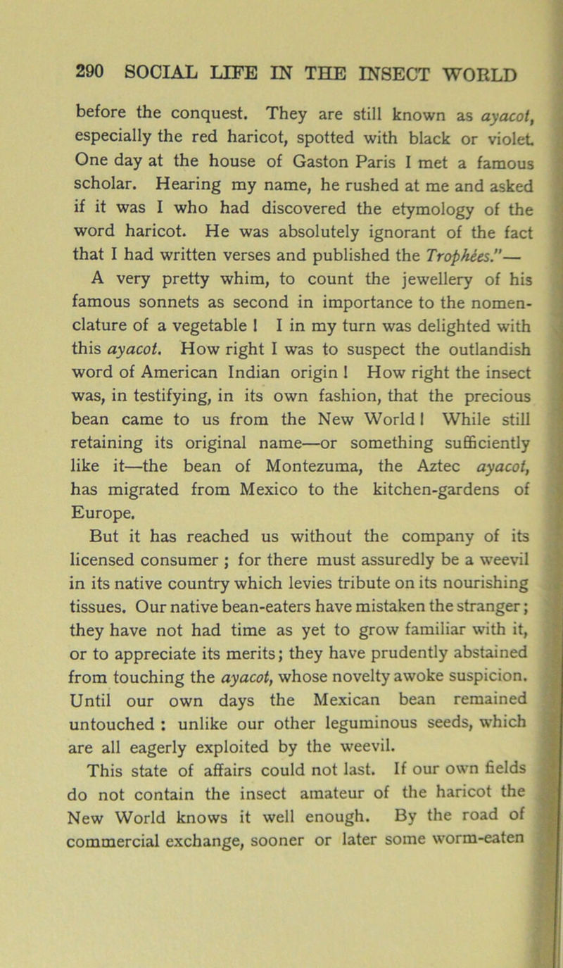 before the conquest. They are still known as ayacoi, especially the red haricot, spotted with black or violet One day at the house of Gaston Paris I met a famous scholar. Hearing my name, he rushed at me and asked if it was I who had discovered the etymology of the word haricot. He was absolutely ignorant of the fact that I had written verses and published the Trophées.— A very pretty whim, to count the jewellery of his famous sonnets as second in importance to the nomen- clature of a vegetable 1 I in my turn was delighted with this ayacot. How right I was to suspect the outlandish word of American Indian origin 1 How right the insect was, in testifying, in its own fashion, that the precious bean came to us from the New World I While still retaining its original name—or something sufficiently like it—the bean of Montezuma, the Aztec ayacot, has migrated from Mexico to the kitchen-gardens of Europe. But it has reached us without the company of its licensed consumer ; for there must assuredly be a weevil in its native country which levies tribute on its nourishing tissues. Our native bean-eaters hâve mistaken the stranger ; they hâve not had time as yet to grow familiar with it, or to appreciate its merits; they hâve prudently abstained from touching the ayacot, whose novelty awoke suspicion. Until our own days the Mexican bean remained untouched : unlike our other leguminous seeds, which are ail eagerly exploited by the weevil. This state of affairs could not last. If our own fields do not contain the insect amateur of the haricot the New World knows it well enough. By the road of commercial exchange, sooner or later some worm-eaten -