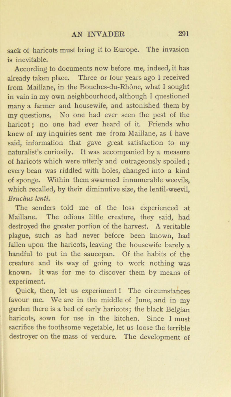 sack of haricots must bring it to Europe. The invasion is inévitable. According to documents now before me, indeed, it has already taken place. Three or four years ago I received from Maillane, in the Bouches-du-Rhône, what I sought in vain in my own neighbourhood, although I questioned many a farmer and housewife, and astonished them by my questions. No one had ever seen the pest of the haricot ; no one had ever heard of it. Friends who knew of my inquiries sent me from Maillane, as I hâve said, information that gave great satisfaction to my naturaliste curiosity. It was accompanied by a measure of haricots which were utterly and outrageously spoiled ; every bean was riddled with holes, changed into a kind of sponge. Within them swarmed innumerable weevils, which recalled, by their diminutive size, the lentil-weevil, Bruchus lenti. The senders told me of the loss experienced at Maillane. The odious little créature, they said, had destroyed the greater portion of the harvest. A véritable plague, such as had never before been known, had fallen upon the haricots, leaving the housewife barely a handful to put in the saucepan. Of the habits of the créature and its way of going to work nothing was known. It was for me to discover them by means of experiment. Quick, then, let us experiment ! The circumstances favour me. We are in the middle of June, and in my garden there is a bed of early haricots; the black Belgian haricots, sown for use in the kitchen. Since I must sacrifice the toothsome vegetable, let us loose the terrible destroyer on the mass of verdure. The development of