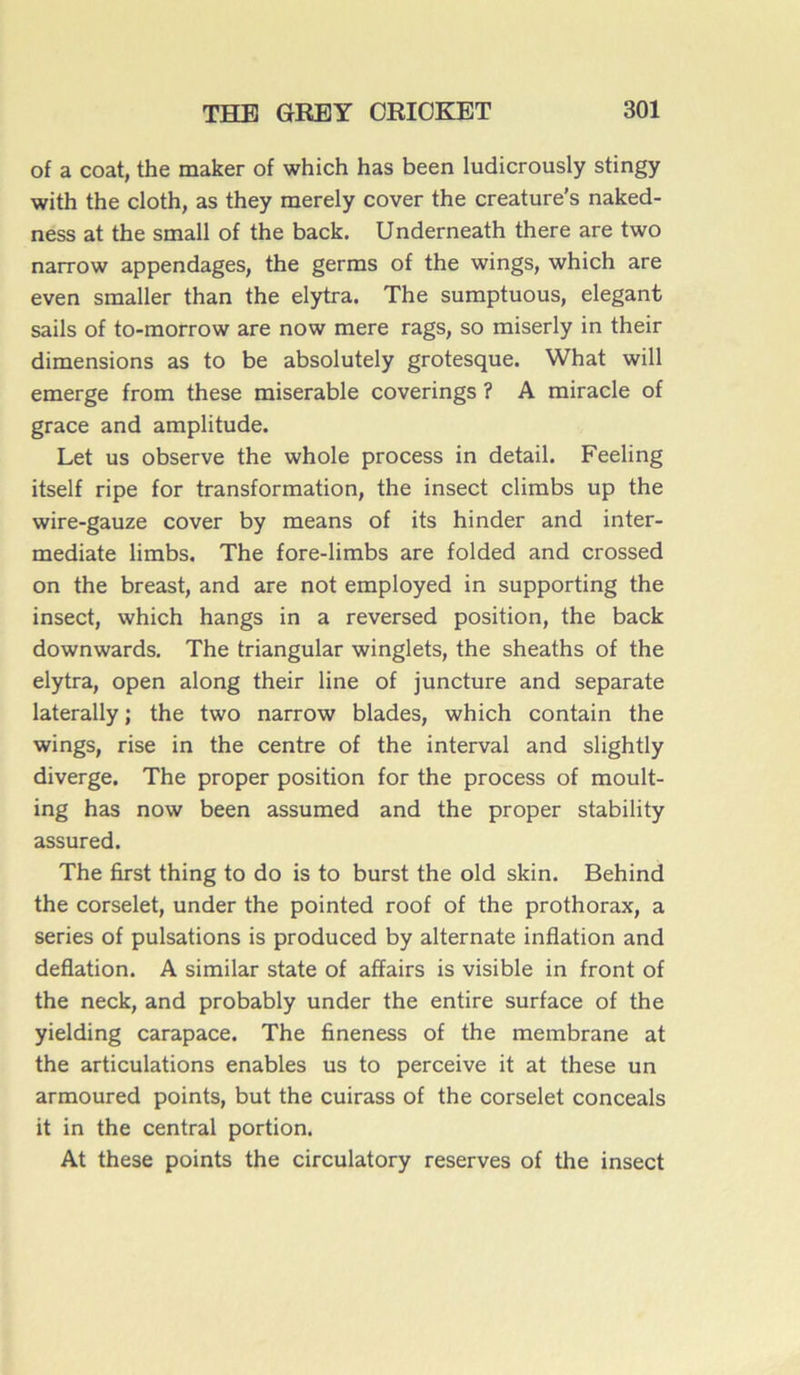 of a coat, the maker of which has been ludicrously stingy with the cloth, as they merely cover the creature's naked- ness at the small of the back. Underneath there are two narrow appendages, the germs of the wings, which are even sraaller than the elytra. The sumptuous, élégant sails of to-morrow are now mere rags, so miserly in their dimensions as to be absolutely grotesque. What will emerge from these misérable coverings ? A miracle of grâce and amplitude. Let us observe the whole process in detail. Feeling itself ripe for transformation, the insect climbs up the wire-gauze cover by means of its hinder and inter- mediate limbs. The fore-limbs are folded and crossed on the breast, and are not employed in supporting the insect, which hangs in a reversed position, the back downwards. The triangular winglets, the sheaths of the elytra, open along their line of juncture and separate laterally ; the two narrow blades, which contain the wings, rise in the centre of the interval and slightly diverge. The proper position for the process of moult- ing has now been assumed and the proper stability assured. The first thing to do is to burst the old skin. Behind the corselet, under the pointed roof of the prothorax, a sériés of pulsations is produced by alternate inflation and déflation. A similar state of afïairs is visible in front of the neck, and probably under the entire surface of the yielding carapace. The fineness of the membrane at the articulations enables us to perceive it at these un armoured points, but the cuirass of the corselet conceals it in the central portion. At these points the circulatory reserves of the insect