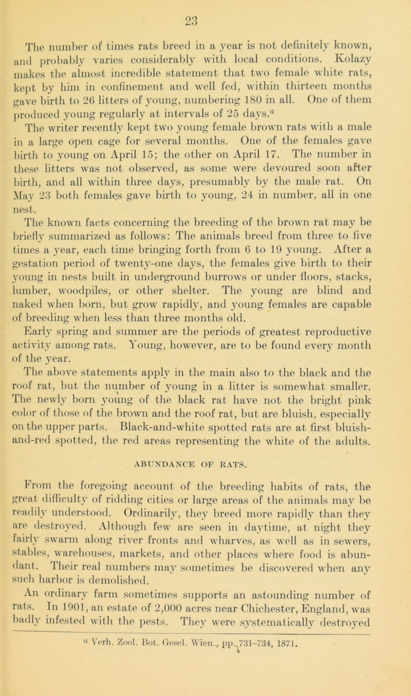 The number of times rats breed in a year is not definitely known, and probably varies considerably with local conditions. Kolazy makes the almost incredible statement that two female white rats, kept by him in confinement and well fed, within thirteen months gave birth to 26 litters of young, numbering 180 in all. One of them produced young regularly at intervals of 25 days.® The writer recently kept two young female brown rats with a male in a large open cage for several months. One of the females gave birth to young on April 15; the other on April 17. The number in these litters was not observed, as some were devoured soon after birth, and all within three days, presumably by the male rat. On May 23 both females gave birth to young, 24 in number, all in one nest. The known facts concerning the breeding of the brown rat may be briefly summarized as follows: The animals breed from three to five times a year, each time bringing forth from 6 to 19 young. After a gestation period of twenty-one days, the females give birth to their young in nests built in underground burrows or under floors, stacks, lumber, woodpiles, or other shelter. The young are blind and naked when born, but grow rapidly, and young females are capable of breeding when less than three months old. Early spring and summer are the periods of greatest reproductive activity among rats. Young, however, are to be found every month of the year. The above statements apply in the main also to the black and the roof rat, but the number of young in a litter is somewhat smaller. The newly born young of the black rat have not the bright pink color of those of the brown and the roof rat, but are bluish, especially on the upper parts. Black-and-white spotted rats are at first bluish- and-red spotted, the red areas representing the white of the adults. ABUNDANCE OF RATS. From the foregoing account of the breeding habits of rats, the great difficulty of ridding cities or large areas of the animals may be readily understood. Ordinarily, they breed more rapidly than they are destroyed. Although few are seen in daytime, at night they fairly swarm along river fronts and wharves, as well as in sewers, stables, warehouses, markets, and other places where food is abun- dant. Their real numbers may sometimes be discovered when any such harbor is demolished. An ordinary farm sometimes supports an astounding number of rats. In 1901, an estate of 2,000 acres near Chichester, England, was badly infested with the pests. They were systematically destroyed a Verh. Zool. Hot. Gesel. Wien., pp. 731-734. 1871. k