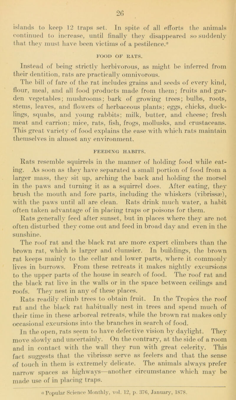 islands to keep 12 traps set. In spite of all efforts the animals continued to increase, until finally they disappeared so suddenly that they must have been victims of a pestilence.® FOOD OF RATS. Instead of being strictly herbivorous, as might be inferred from their dentition, rats are practically omnivorous. The bill of fare of the rat includes grains and seeds of every kind, flour, meal, and all food products made from them; fruits and gar- den vegetables; mushrooms; bark of growing trees; bulbs, roots, stems, leaves, and flowers of herbaceous plants; eggs, chicks, duck- lings, squabs, and young rabbits; milk, butter, and cheese; fresh meat and carrion; mice, rats, fish, frogs, mollusks, and crustaceans. This great variety of food explains the ease with which rats maintain themselves in almost any environment. FEEDING HABITS. Rats resemble squirrels in the manner of holding food while eat- ing. As soon as they have separated a small portion of food from a larger mass, they sit up, arching the back and holding the morsel in the paws and turning it as a squirrel does. After eating, they brush the mouth and fore parts, including the whiskers (vibrissa?), with the paW'S until all are clean. Rats drink much water, a habit often taken advantage of in placing traps or poisons for them. Rats generally feed after sunset, but in places where they are not often disturbed they come out and feed in broad day and even in the sunshine. The roof rat and the black rat are more expert climbers than the brown rat, which is larger and clumsier. In buildings, the brown rat keeps mainly to the cellar and lower parts, where it commonly lives in burrows. From these retreats it makes nightly excursions to the upper parts of the house in search of food. The roof rat and the black rat live in the walls or in the space between ceilings and roofs. They nest in any of these places. Rats readily climb trees to obtain fruit. In the Tropics the roof rat and the black rat habitually nest in trees and spend much of their time in these arboreal retreats, while the brown rat makes only occasional excursions into t he branches in search of food. In the open, rats seem to have defective vision by daylight. They move slowdy and uncertainly. On the contrary, at the side of a room and in contact with the wall they run with great celerity. This fact suggests that the vibrissse serve as feelers and that the sense of touch in them is extremely delicate. The animals always prefer narrow spaces as highways—another circumstance which may be made use of in placing traps. a Popular Science Monthly, vol. 12, p. 376, January, 1878.