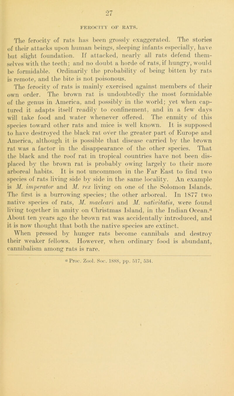 FEROCITY OF RATS. The ferocity of rats has been grossly exaggerated. The stories of their attacks upon human beings, sleeping infants especially, have but slight foundation. Tf attacked, nearly all rats defend them- selves with the teeth; and no doubt a horde of rats, if hungry, would be formidable. Ordinarily the probability of being bitten by rats is remote, and the bite is not poisonous. The ferocity of rats is mainly exercised against members of their own order. The brown rat is undoubtedly the most formidable of the genus in America, and possibly in the world; yet when cap- tured it adapts itself readily to confinement, and in a few days will take food and water whenever offered. The enmity of this species toward other rats and mice is well known. It is supposed to have destroyed the black rat over the greater part of Europe and America, although it is possible that disease carried by the brown rat was a factor in the disappearance of the other species. That the black and the roof rat in tropical countries have not been dis- placed by the brown rat is probably owing largely to their more arboreal habits. It is not uncommon in the Far East to find two species of rats living side by side in the same locality. An example is M. imperator and M. rex living on one of the Solomon Islands. The first is a burrowing species; the other arboreal. In 1877 two native species of rats, M. macleari and M. nativitatis, were found living together in amity on Christmas Island, in the Indian Ocean.0 About ten years ago the brown rat was accidentally introduced, and it is now thought that both the native species are extinct. When pressed by hunger rats become cannibals and destroy their weaker fellows. However, when ordinary food is abundant, cannibalism among rats is rare. a Proc. Zool. Soc. 1888, pp. 517, 534.