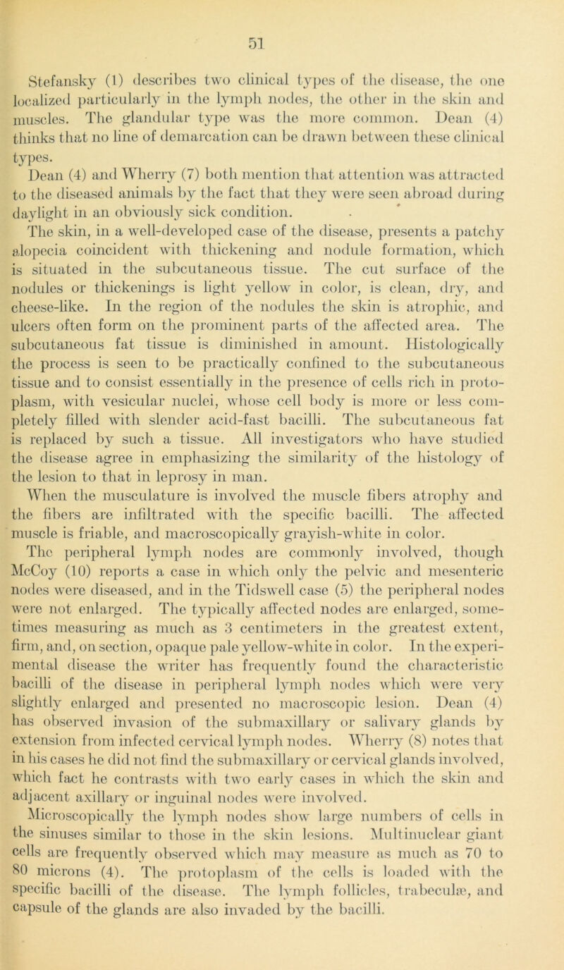 Stefansky (1) describes two clinical types of the disease, the one localized particularly in the lymph nodes, the other in the skin and muscles. The glandular type was the more common. Dean (4) thinks that no line of demarcation can be drawn between these clinical types. Dean (4) and Wherry (7) both mention that attention was attracted to the diseased animals by the fact that they were seen abroad during daylight in an obviously sick condition. The skin, in a well-developed case of the disease, presents a patchy alopecia coincident with thickening and nodule formation, which is situated in the subcutaneous tissue. The cut surface of the nodules or thickenings is light yellow in color, is clean, dry, and cheese-like. In the region of the nodules the skin is atrophic, and ulcers often form on the prominent parts of the affected area. The subcutaneous fat tissue is diminished in amount. Histologically the process is seen to be practically confined to the subcutaneous tissue and to consist essentially in the presence of cells rich in proto- plasm, with vesicular nuclei, whose cell body is more or less com- pletely filled with slender acid-fast bacilli. The subcutaneous fat is replaced by such a tissue. All investigators who have studied the disease agree in emphasizing the similarity of the histology of the lesion to that in leprosy in man. When the musculature is involved the muscle fibers atrophy and the fibers are infiltrated with the specific bacilli. The affected muscle is friable, and macroscopically grayish-white in color. The peripheral lymph nodes are commonly involved, though McCoy (10) reports a case in which only the pelvic and mesenteric nodes were diseased, and in the Tidswell case (5) the peripheral nodes were not enlarged. The typically affected nodes are enlarged, some- times measuring as much as 3 centimeters in the greatest extent, firm, and, on section, opaque pale yellow-white in color. In the experi- mental disease the writer has frequently found the characteristic bacilli of the disease in peripheral lymph nodes which were very slightly enlarged and presented no macroscopic lesion. Dean (4) has observed invasion of the submaxillary or salivary glands by- extension from infected cervical lymph nodes. Wherry (8) notes that in his cases he did not find the submaxillary or cervical glands involved, which fact he contrasts with two early cases in which the skin and adjacent axillary or inguinal nodes were involved. Microscopically the lymph nodes show large numbers of cells in the sinuses similar to those in the skin lesions. Multinuclear giant cells are frequently observed which may measure as much as 70 to 80 microns (4). The protoplasm of the cells is loaded with the specific bacilli of the disease. The lymph follicles, trabeculae, and capsule of the glands are also invaded by the bacilli.