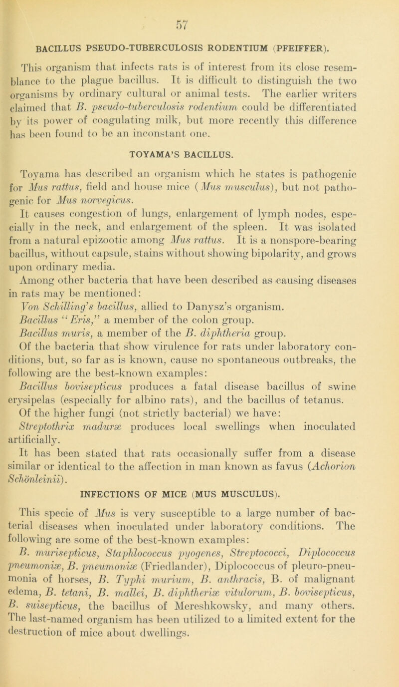 BACILLUS PSEUDO-TUBERCULOSIS RODENTIUM (PFEIFFER). This organism that infects rats is of interest from its close resem- blance to the plague bacillus. It is difficult to distinguish the two organisms by ordinary cultural or animal tests. The earlier writers claimed that B. pseudo-tuberculosis rodentium could be differentiated by its power of coagulating milk, but more recently this difference has been found to be an inconstant one. TOYAMA’S BACILLUS. Toyama has described an organism which he states is pathogenic for Mus rattus, field and house mice (Mus urns cuius), but not patho- genic for Mus norvegicus. It causes congestion of lungs, enlargement of lymph nodes, espe- cially in the neck, and enlargement of the spleen. It was isolated from a natural epizootic among Mus rattus. It is a nonspore-bearing bacillus, without capsule, stains without showing bipolarity, and grows upon ordinary media. Among other bacteria that have been described as causing diseases in rats may be mentioned: Von Schilling’s bacillus, allied to Danysz’s organism. Bacillus “ Eris,” a member of the colon group. Bacillus m.uris, a member of the B. diphtheria group. Of the bacteria that show virulence for rats under laboratory con- ditions, but, so far as is known, cause no spontaneous outbreaks, the following are the best-known examples: Bacillus bovisepticus produces a fatal disease bacillus of swine erysipelas (especially for albino rats), and the bacillus of tetanus. Of the higher fungi (not strictly bacterial) we have: Streptothrix madurse produces local swellings when inoculated artificially. It has been stated that rats occasionally suffer from a disease similar or identical to the affection in man known as favus (Achorion Schonleinii). INFECTIONS OF MICE (MUS MUSCULUS). This specie of Mus is very susceptible to a large number of bac- terial diseases when inoculated under laboratory conditions. The following are some of the best-known examples: B. murisepticus, Staphlococcus pyogenes, Streptococci, Diplococcus pneumoniae, B. pneumoniae (Friedlander), Diplococcus of pleuro-pneu- monia of horses, B. Typhi murium, B. anthracis, B. of malignant edema, B. tetani, B. mallei, B. diphtherise vitulorum, B. bovisepticus, B. suisepticus, the bacillus of Mereshkowsky, and many others. The last-named organism has been utilized to a limited extent for the destruction of mice about dwellings.