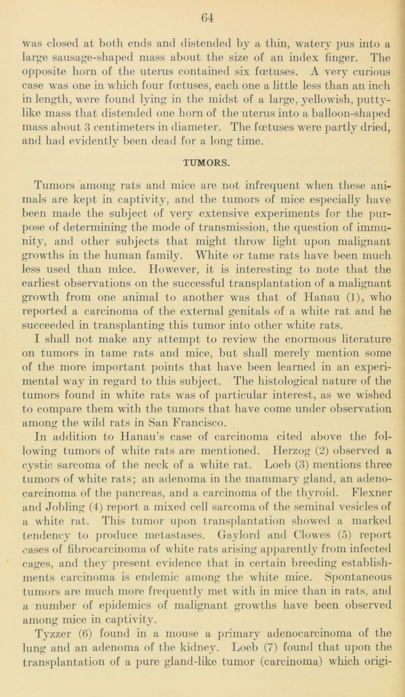 was closed at both ends and distended by a thin, watery pus into a large sausage-shaped mass about the size of an index linger. The opposite horn of the uterus contained six foetuses. A very curious case was one in which four foetuses, each one a little less than an inch in length, were found lying in the midst of a large, yellowish, putty- like mass that distended one horn of the uterus into a balloon-shaped mass about 3 centimeters in diameter. The foetuses were partly dried, and had evidently been dead for a long time. TUMORS. Tumors among rats and mice are not infrequent when these ani- mals are kept in captivity, and the tumors of mice especially have been made the subject of very extensive experiments for the pur- pose of determining the mode of transmission, the question of immu- nity, and other subjects that might throw light upon malignant growths in the human family. White or tame rats have been much less used than mice. However, it is interesting to note that the earliest observations on the successful transplantation of a malignant growth from one animal to another was that of Hanau (1), who reported a carcinoma of the external genitals of a white rat and he succeeded in transplanting this tumor into other white rats. I shall not make any attempt to review the enormous literature on tumors in tame rats and mice, but shall merely mention some of the more important points that have been learned in an experi- mental way in regard to this subject. The histological nature of the tumors found in white rats was of particular interest, as we wished to compare them with the tumors that have come under observation among the wild rats in San Francisco. In addition to Hanau’s case of carcinoma cited above the fol- lowing tumors of white rats are mentioned. Herzog (2) observed a cystic sarcoma of the neck of a white rat. Loeb (3) mentions three tumors of white rats; an adenoma in the mammary gland, an adeno- carcinoma of the pancreas, and a carcinoma of the thyroid. Flexner and Jobling (4) report a mixed cell sarcoma of the seminal vesicles of a white rat. This tumor upon transplantation showed a marked tendency to produce metastases. Gaylord and Clowes (5) report cases of fibrocarcinoma of white rats arising apparently from infected cages, and they present evidence that in certain breeding establish- ments carcinoma is endemic among the white mice. Spontaneous tumors are much more frequently met with in mice than in rats, and a number of epidemics of malignant growths have been observed among mice in captivity. Tyzzer (6) found in a mouse a primary adenocarcinoma of the lung and an adenoma of the kidney. Loeb (7) found that upon the transplantation of a pure gland-like tumor (carcinoma) which origi-