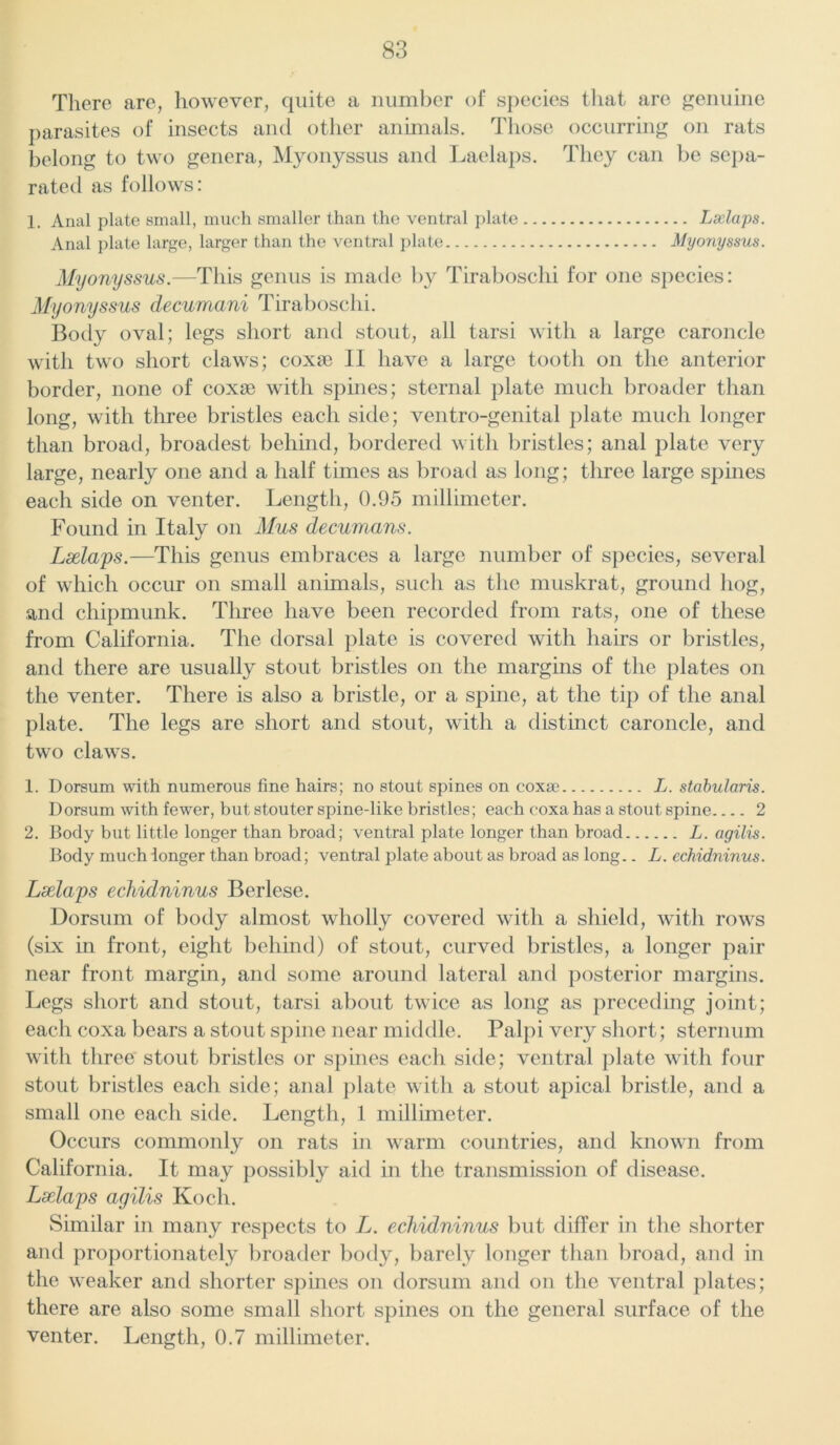 There are, however, quite a number of species that are genuine parasites of insects and other animals. Those occurring on rats belong to two genera, Myonyssus and Laelaps. They can be sepa- rated as follows: 1. Anal plate small, much smaller than the ventral plate Lxlaps. Anal plate large, larger than the ventral plate Myonyssus. Myonyssus.—This genus is made by Tiraboschi for one species: Myonyssus decumani Tiraboschi. Body oval; legs short and stout, all tarsi with a large caroncle with two short claws; coxae II have a large tooth on the anterior border, none of coxae with spines; sternal plate much broader than long, with three bristles each side; ventro-genital plate much longer than broad, broadest behind, bordered with bristles; anal plate very large, nearly one and a half times as broad as long; three large spines each side on venter. Length, 0.95 millimeter. Found in Italy on Mus decumans. Lxlaps.—This genus embraces a large number of species, several of which occur on small animals, such as the muskrat, ground hog, and chipmunk. Three have been recorded from rats, one of these from California. The dorsal plate is covered with hairs or bristles, and there are usually stout bristles on the margins of the plates on the venter. There is also a bristle, or a spine, at the tip of the anal plate. The legs are short and stout, with a distinct caroncle, and two claws. 1. Dorsum with numerous fine hairs; no stout spines on coxae L. stabulans. Dorsum with fewer, but stouter spine-like bristles; each coxa has a stout spine 2 2. Body but little longer than broad; ventral plate longer than broad L. agilis. Body much longer than broad; ventral plate about as broad as long.. L. cchidninus. Laelaps echidninus Berlese. Dorsum of body almost wholly covered with a shield, with rows (six in front, eight behind) of stout, curved bristles, a longer pair near front margin, and some around lateral and posterior margins. Legs short and stout, tarsi about twice as long as preceding joint; each coxa bears a stout spine near middle. Palpi very short; sternum with three stout bristles or spines each side; ventral plate with four stout bristles each side; anal plate with a stout apical bristle, and a small one each side. Length, 1 millimeter. Occurs commonly on rats in warm countries, and known from California. It may possibly aid in the transmission of disease. Lxlaps agilis Koch. Similar in many respects to L. echidninus but differ in the shorter and proportionately broader body, barely longer than broad, and in the weaker and shorter spines on dorsum and on the ventral plates; there are also some small short spines on the general surface of the venter. Length, 0.7 millimeter.