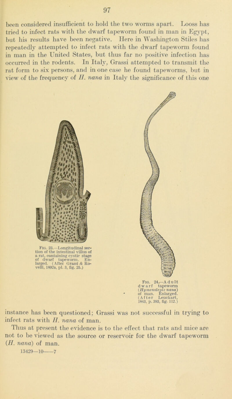 been considered insufficient to hold the two worms apart. Looss has tried to infect rats with the dwarf tapeworm found in man in Egypt, but his results have been negative. Here in Washington Stiles has repeatedly attempted to infect rats with the dwarf tapeworm found in man in the United States, but thus far no positive infection has occurred in the rodents. In Italy, Grassi attempted to transmit the rat form to six persons, and in one case he found tapeworms, but in view of the frequency of II. nana in Italy the significance of this one Fig. 23.—Longitudinal sec- tion of the intestinal villus of a rat, containing cystic stage of dwarf tapeworm. En- larged. (After Grassi <k Ro- velli, 1892a, pi. 3, fig. 25.) Fig. 24_—Adult dwarf tapeworm (Hymcnolcpis nana) of man. Enlarged. (After Leuckart, 1803, p. 393, fig-112.) instance has been questioned; Grassi was not successful in trying to infect rats with II. nana of man. Thus at present the evidence is to the effect that rats and mice are not to be viewed as the source or reservoir for the dwarf tapeworm (II. nana) of man. 13429—10 7