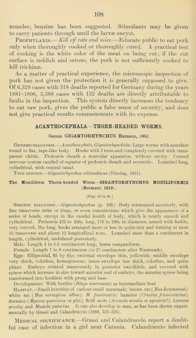 muscles; benzine lias been suggested. Stimulants may be given to carry patients through until the larvae encyst. Prophylaxis.— Kill off rats and mice.—Educate public to eat pork only when thoroughly cooked or thoroughly cured. A practical test of cooking is the white color of the meat on being cut; if the cut surface is reddish and serous, the pork is not sufficiently cooked to kill trichinae. As a matter of practical experience, the microscopic inspection of pork has not given the protection it is generally supposed to give. Of 6,329 cases with 318 deaths reported for Germany during the years 1881-1898, 3,388 cases with 132 deaths are directly attributable to faults in the inspection. This system directly increases the tendency to eat raw pork, gives the public a false sense of security, and does not give practical results commensurate with its expense. ACANTHOCEPHALA—THORN-HEADED WORMS. Genus GIGANTORHYNCHUS Hamann, 1892. Generic diagnosis.—Acanthocephala, Gigantorhynchidse: Large worms with annulate round to flat, tape-like body. Hooks with 2 roots and completely covered with trans- parent chitin. Proboscis sheath a muscular apparatus, without cavity. Central nervous system caudad of equator of proboscis sheath and eccentric. Lemnisci long, cylindrical, with central canal. Type species.—Gigantorhynchus echinodiscus (Diesing, 1851). The Moniliform Thorn-headed Worm—GIGANTORHYNCHUS MONILIFORMIS (Bremser, 1819). [Figs. 52 to 58.] Specific diagnosis.—Gigantorhynchus (p. 108): Body attenuated anteriorly, with fine transverse striae or rings, or even constrictions which give the appearance of a series of beads, except in the caudal fourth of body, which is nearly smooth and cylindrical. Proboscis 425 to 450/t long, 176 to 190/t in diameter, armed with feeble, very curved, 26;i long, hooks arranged more or less in quincunx and forming at most 15 transverse and about 12 longitudinal rows. Lemnisci more than a centimeter in length, cylindrical, undulated posteriorly. Male: Length 4 to 4.5 centimeters long; bursa campaniform. Female: Length 7 to 8 centimeters (to 27 centimeters after Westrumb). Eggs: Ellipsoidal, 85 by 45//; external envelope thin, yellowish; middle envelope very thick, colorless, homogeneous; inner envelope less thick, colorless, and quite pliant. Embryo striated transversely in posterior two-thirds, and covered with spines which increase in size toward anterior end of embryo, the anterior spines being transformed into hooklets with prong and base. Development: With beetles (Blaps mucronala) as intermediate host Habitat.—Small intestine of various small mammals; brown rat ( Mils decumanus); white rat (Mils norvcgicus alhus); M. fuscirostris; hamster (Cricetus frumcnlarius); dormice (Myoxus quercinus or glis); field mole (Arvicola arvalis or agrestrisf); Lemnus arvalis; and Muslela putorius. It can also develop in man, as has been shown experi- mentally by Grassi and Calandruccio (1888, 521-525). Medical significance.—Grassi and Calandruccio report a doubt- ful case of infection in a girl near Catania. Calandruccio infected