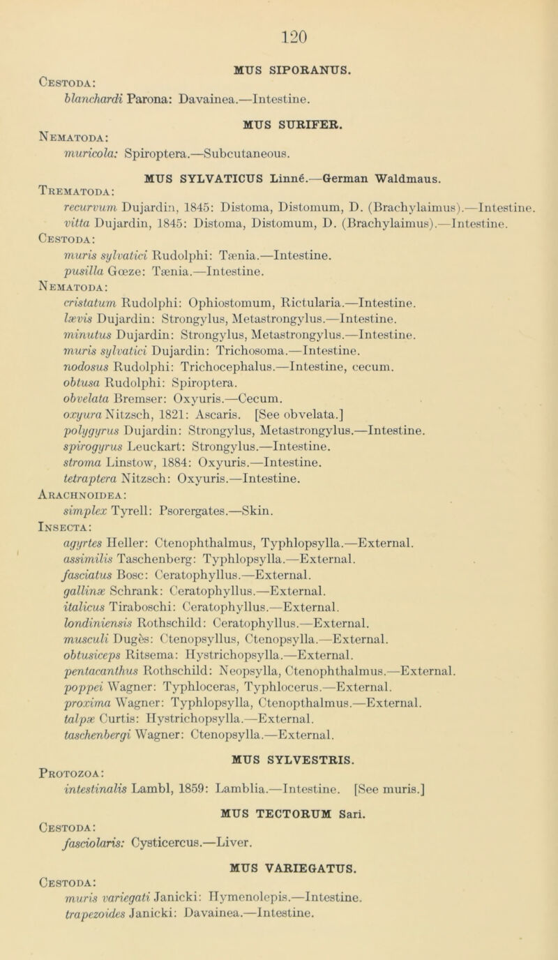 MTJS SIPORANUS. Cestoda: blanchardi Parona: Davainea.—Intestine. MUS SURIFER. Nematoda: muricola: Spiroptera.—Subcutaneous. MUS SYLVATICUS Linne.—German Waldmaus. Trematoda: recurvum Dujardin, 1845: Distoma, Distomum, D. (Brachylaimus).—Intestine. vitta Dujardin, 1845: Distoma, Distomum, D. (Brachylaimus).—Intestine. Cestoda: muris sylvatici Rudolphi: Taenia.—Intestine. pusilla Goeze: Taenia.—Intestine. Nematoda: cristatum Rudolphi: Ophiostomum, Rictularia.—Intestine. Isevis Dujardin: Strongylus, Metastrongylus.—Intestine. minutus Dujardin: Strongylus, Metastrongylus.—Intestine. muris sylvatici Dujardin: Trichosoma.—Intestine. nodosus Rudolphi: Trichocephalus.—Intestine, cecum. obtusa Rudolphi: Spiroptera. obvelata Bremser: Oxyuris.—Cecum. oxyura Nitzsch, 1821: Ascaris. [See obvelata.] polygyrus Dujardin: Strongylus, Metastrongylus.—Intestine. spirogyrus Leuckart: Strongylus.—Intestine. stroma Linstow, 1884: Oxyuris.—Intestine. tetraptera Nitzsch: Oxyuris.—Intestine. Arachnoidea: simplex Tyrell: Psorergates.—Skin. Insecta: agyrtes Heller: Ctenophthalmus, Typhlopsylla.—External. assimilis Taschenberg: Typhlopsylla.—External. fasciatus Bose: Ceratophyllus.—External. gallinx Schrank: Ceratophyllus.—External. italicus Tiraboschi: Ceratophyllus.—External. londiniensis Rothschild: Ceratophyllus.—External. musculi Dug&s: Ctenopsyllus, Ctenopsvlla.—External. obtusiceps Ritsema: Ilystrichopsylla.—External. pentacanthus Rothschild: Neopsylla, Ctenophthalmus.—External. poppei Wagner: Typhloceras, Typhlocerus.—External. proxima Wagner: Typhlopsylla, Ctenopthalmus.—External. talpx Curtis: Tlystrichopsylla.—External. taschenbergi Wagner: Ctenopsylla.—External. MUS SYLVESTRIS. Protozoa: intestinalis Lambl, 1859: Lamblia.—Intestine. [See muris.] MUS TECTORUM Sari. Cestoda: fasciolaris: Cysticercus.—Liver. MUS VARIEGATUS. Cestoda: muris variegati Janicki: Hymenolepis.—Intestine. trapezoides Janicki: Davainea.—Intestine.