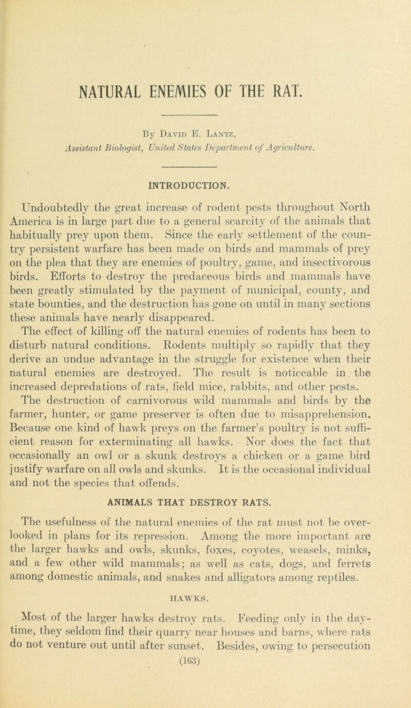 NATURAL ENEMIES OF THE RAT. By David E. Lantz, Assistant Biologist, United States Department of Agriculture. INTRODUCTION. Undoubtedly the great increase of rodent pests throughout North America is in large part due to a general scarcity of the animals that habitually prey upon them. Since the early settlement of the coun- try persistent warfare has been made on birds and mammals of prey on the plea that they are enemies of poultry, game, and insectivorous birds. Efforts to destroy the predaceous birds and mammals have been greatly stimulated by the payment of municipal, county, and state bounties, and the destruction has gone on until in many sections these animals have nearly disappeared. The effect of killing off the natural enemies of rodents has been to disturb natural conditions. Rodents multiply so rapidly that they derive an undue advantage in the struggle for existence when their natural enemies are destroyed. The result is noticeable in the increased depredations of rats, field mice, rabbits, and other pests. The destruction of carnivorous wild mammals and birds by the farmer, hunter, or game preserver is often due to misapprehension. Because one kind of hawk preys on the farmer’s poultry is not suffi- cient reason for exterminating all hawks. Nor does the fact that occasionally an owl or a skunk destroys a chicken or a game bird justify warfare on all owls and skunks. It is the occasional individual and not the species that offends. ANIMALS THAT DESTROY RATS. The usefulness of the natural enemies of the rat must not be over- looked in plans for its repression. Among the more important are the larger hawks and owls, skunks, foxes, coyotes, weasels, minks, and a few other wild mammals; as well as cats, dogs, and ferrets among domestic animals, and snakes and alligators among reptiles. HAWKS. Most of the larger hawks destroy rats. Feeding only in the day- time, they seldom find their quarry near houses and barns, where rats do not venture out until after sunset. Besides, owing to persecution