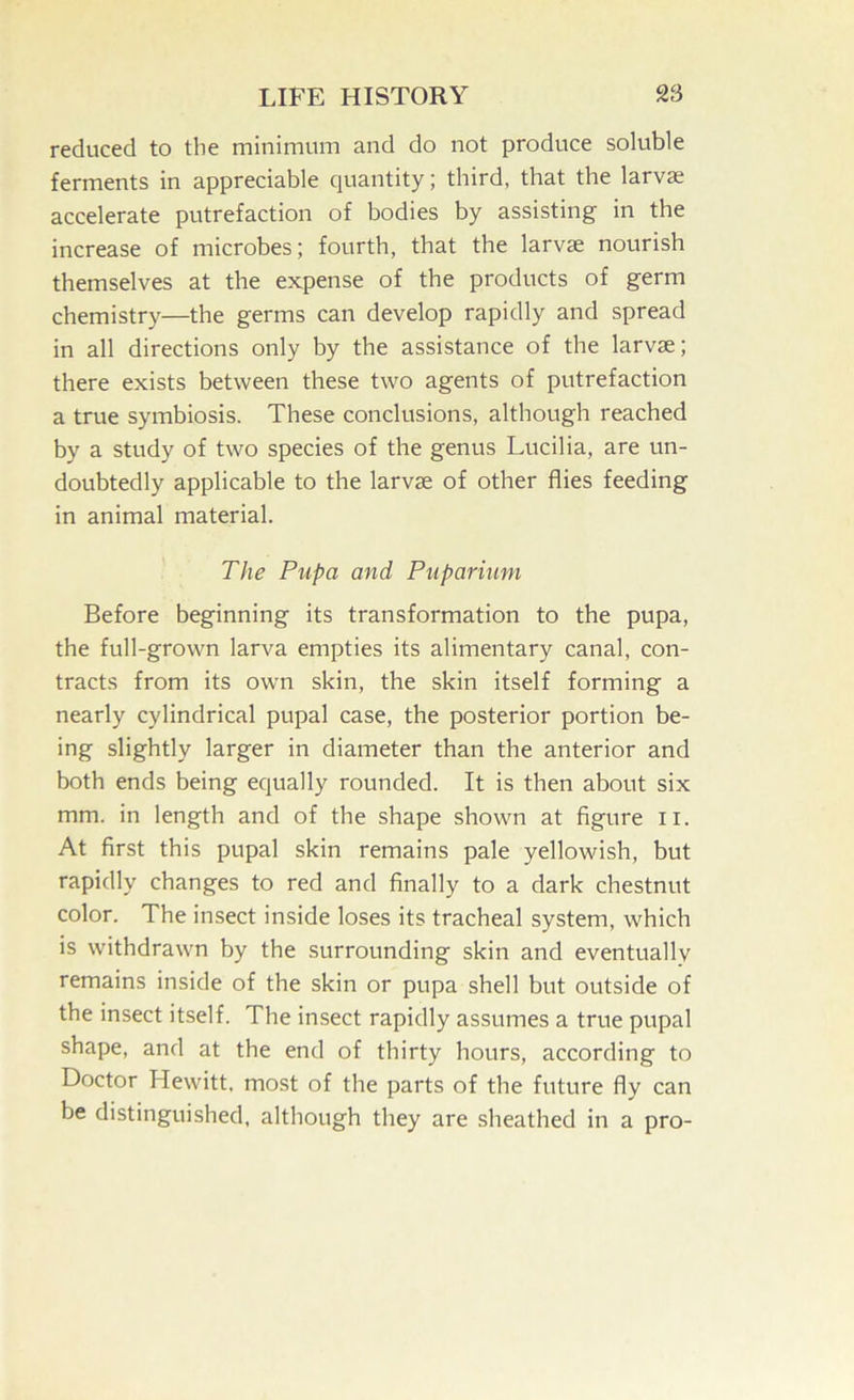 reduced to the minimum and do not produce soluble ferments in appreciable quantity; third, that the larvae accelerate putrefaction of bodies by assisting in the increase of microbes; fourth, that the larvae nourish themselves at the expense of the products of germ chemistry—the germs can develop rapidly and spread in all directions only by the assistance of the larvae; there exists between these two agents of putrefaction a true symbiosis. These conclusions, although reached by a study of two species of the genus Lucilia, are un- doubtedly applicable to the larvae of other flies feeding in animal material. The Pupa and Pupariunt Before beginning its transformation to the pupa, the full-grown larva empties its alimentary canal, con- tracts from its own skin, the skin itself forming a nearly cylindrical pupal case, the posterior portion be- ing slightly larger in diameter than the anterior and both ends being equally rounded. It is then about six mm. in length and of the shape shown at figure ii. At first this pupal skin remains pale yellowish, but rapidly changes to red and finally to a dark chestnut color. The insect inside loses its tracheal system, which is withdrawn by the surrounding skin and eventually remains inside of the skin or pupa shell but outside of the insect itself. The insect rapidly assumes a true pupal shape, and at the end of thirty hours, according to Doctor Hewitt, most of the parts of the future fly can be distinguished, although they are sheathed in a pro-