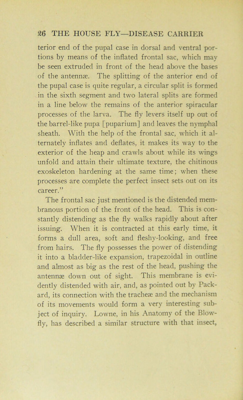 terior end of the pupal case in dorsal and ventral por- tions by means of the inflated frontal sac, which may be seen extruded in front of the head above the bases of the antennse. The splitting of the anterior end of the pupal case is quite regular, a circular split is formed in the sixth segment and two lateral splits are formed in a line below the remains of the anterior spiracular processes of the larva. The fly levers itself up out of the barrel-like pupa [puparium] and leaves the nymphal sheath. With the help of the frontal sac, which it al- ternately inflates and deflates, it makes its way to the exterior of the heap and crawls about while its wings unfold and attain their ultimate texture, the chitinous exoskeleton hardening at the same time; when these processes are complete the perfect insect sets out on its career.” The frontal sac just mentioned is the distended mem- branous portion of the front of the head. This is con- stantly distending as the fly walks rapidly about after issuing. When it is contracted at this early time, it forms a dull area, soft and fleshy-looking, and free from hairs. The fly possesses the power of distending it into a bladder-like expansion, trapezoidal in outline and almost as big as the rest of the head, pushing the antennse down out of sight. This membrane is evi- dently distended with air, and, as pointed out by Pack- ard, its connection with the tracheae and the mechanism of its movements would form a very interesting sub- ject of inquiry. Lowne, in his Anatomy of the Blow- fly, has described a similar structure with that insect,