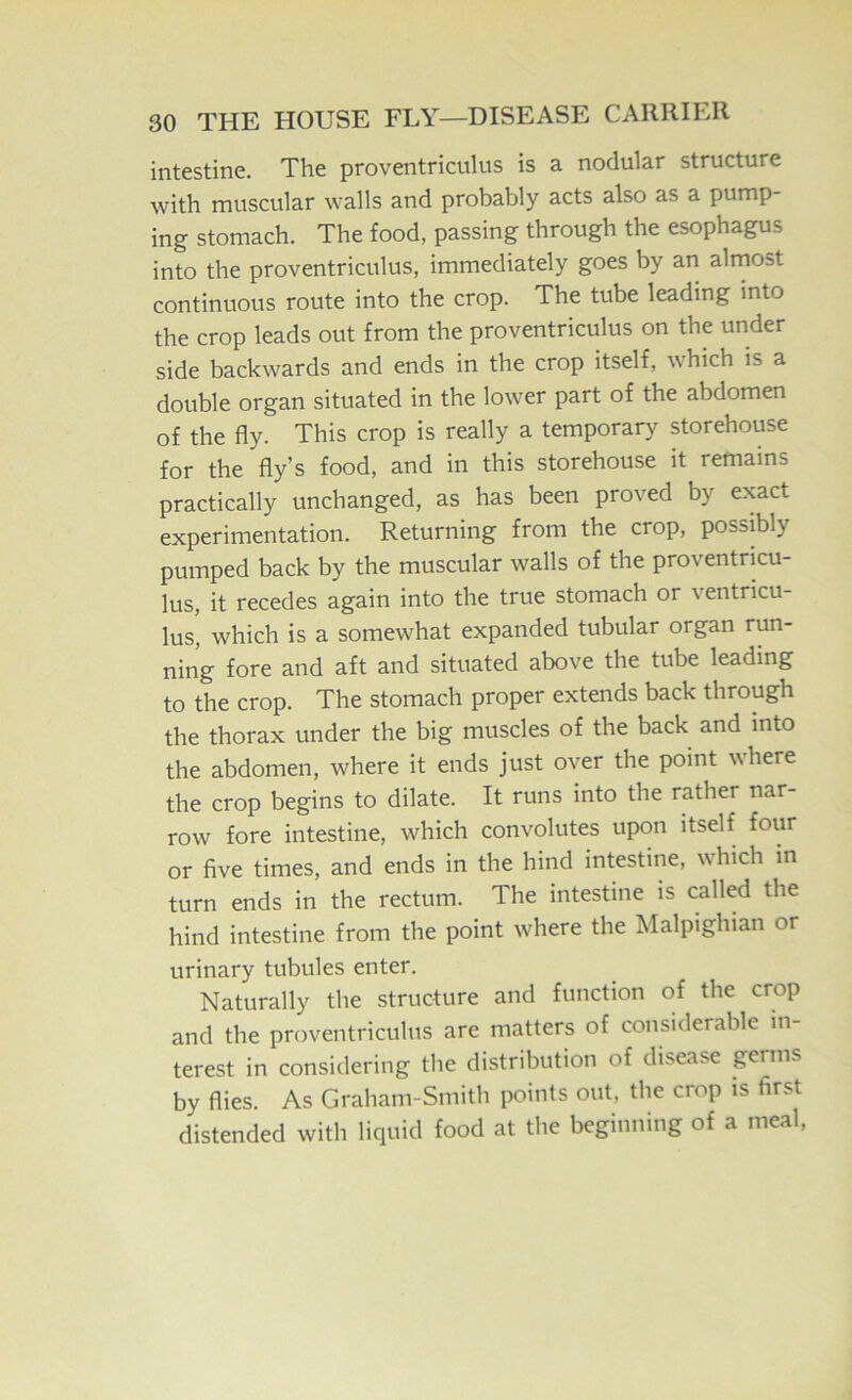 intestine. The proventriculus is a nodular structure with muscular walls and probably acts also as a pump- ing stomach. The food, passing through the esophagus into the proventriculus, immediately goes by an almost continuous route into the crop. The tube leading into the crop leads out from the proventriculus on the under side backwards and ends in the crop itself, which is a double organ situated in the lower part of the abdomen of the fly. This crop is really a temporary storehouse for the fly’s food, and in this storehouse it remains practically unchanged, as has been proved by exact experimentation. Returning from the crop, possibly pumped back by the muscular walls of the proventricu- lus, it recedes again into the true stomach or ventricu- lus, which is a somewhat expanded tubular organ run- ning fore and aft and situated above the tube leading to the crop. The stomach proper extends back through the thorax under the big muscles of the back and into the abdomen, where it ends just over the point where the crop begins to dilate. It runs into the rather nar- row fore intestine, which convolutes upon itself four or five times, and ends in the hind intestine, which in turn ends in the rectum. The intestine is called the hind intestine from the point where the Malpighian or urinary tubules enter. Naturally the structure and function of the crop and the proventriculus are matters of considerable in- terest in considering the distribution of disease germs by flies. As Graham-Smith points out, the crop is first distended with liquid food at the beginning of a meal.