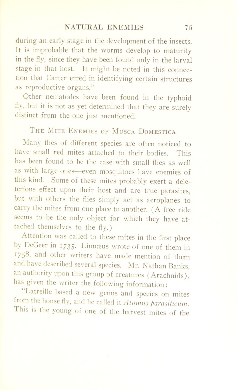 during an early stage in the development of the insects. It is improbable that the worms develop to maturity in the fly, since they have been found only in the larval stage in that host. It might be noted in this connec- tion that Carter erred in identifying certain structures as reproductive organs.” Other nematodes have been found in the typhoid fly, but it is not as yet determined that they are surely distinct from the one just mentioned. The Mite Enemies of Musca Domestica Many flies of different species are often noticed to have small red mites attached to their bodies. This has been found to be the case with small flies as well as with large ones—even mosquitoes have enemies of this kind. Some of these mites probably exert a dele- terious effect upon their host and are true parasites, but with others the flies simply act as aeroplanes to carry the mites from one place to another. (A free ride seems to be the only object for which they have at- tached themselves to the fly.) Attention was called to these mites in the first place by DcGeer in 1735. Linnams wrote of one of them in 1758, and other writers have made mention of them and have described several species. Mr. Nathan Banks, an authority upon this group of creatures (Arachnids), has given the writer the following information : Latreille based a new genus and species on mites from the house fly, and he called it Atouws parasiticum. This is the young of one of the harvest mites of the