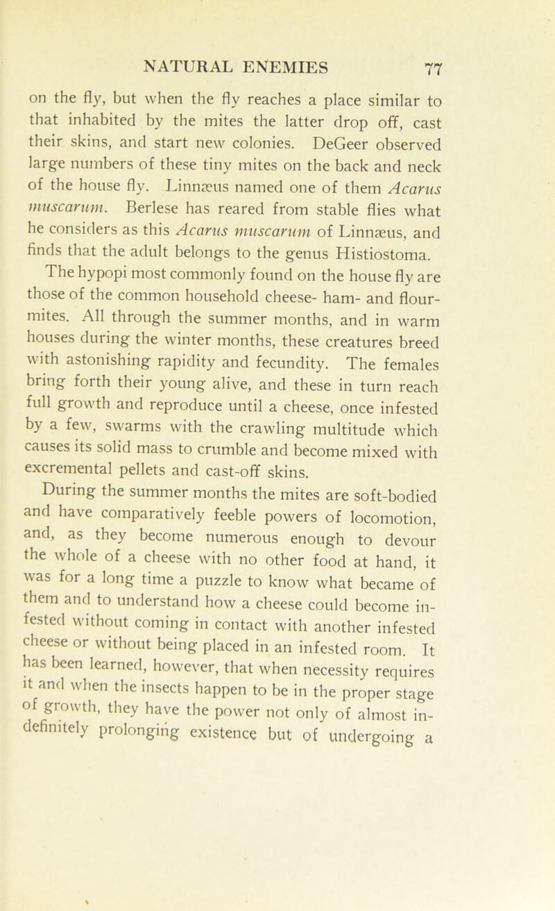 on the fly, but when the fly reaches a place similar to that inhabited by the mites the latter drop ofif, cast their skins, and start new colonies. DeGeer observed large numbers of these tiny mites on the back and neck of the house fly. Linnecus named one of them Acariis miiscanim. Berlese has reared from stable flies what he considers as this Acariis miiscartim of Linnaeus, and finds that the adult belongs to the genus Histiostoma. The hypopi most commonly found on the house fly are those of the common household cheese- ham- and flour- mites. All through the summer months, and in warm houses during the winter months, these creatures breed with astonishing rapidity and fecundity. The females bring forth their young alive, and these in turn reach full growth and reproduce until a cheese, once infested by a few, swarms with the crawling multitude which causes its solid mass to crumble and become mixed with excremental pellets and cast-off skins. During the summer months the mites are soft-bodied and have comparatively feeble powers of locomotion, and, as they become numerous enough to devour the whole of a cheese with no other food at hand, it was for a long time a puzzle to know what became of them and to understand how a cheese could become in- fested without coming in contact with another infested cheese or without being placed in an infested room. It has been learned, however, that when necessity requires It and when the insects happen to be in the proper stage of giowth, they have the power not only of almost in- definitely prolonging existence but of undergoing a
