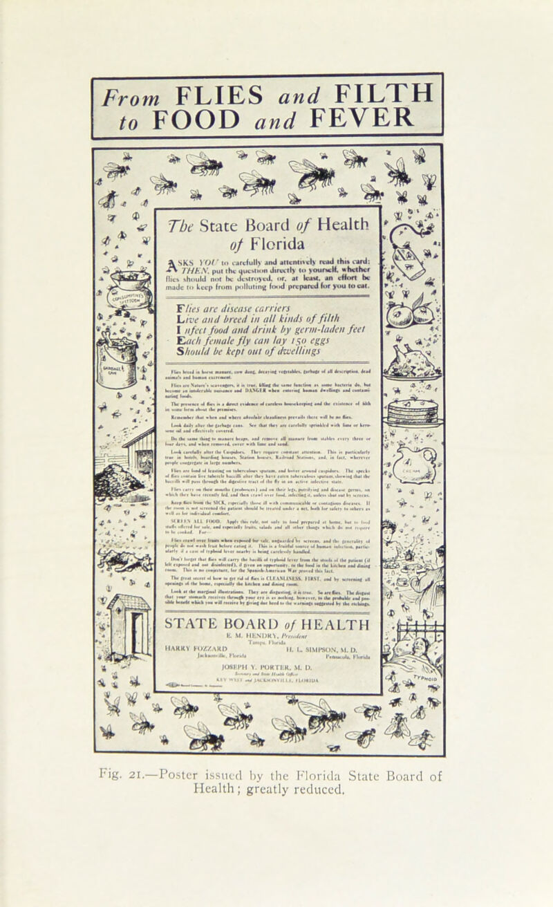 From FLIES and FILTH to FOOD and FEVER Fig. 21.—Poster i.ssii(.'(l l>y the I'‘lorid;i State Board of Health; greatly reduced.