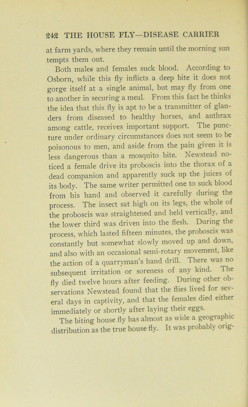 at farm yards, where they remain until the morning sun tempts them out. Both males and females suck blood. According to Osborn, while this fly inflicts a deep bite it does not gorge itself at a single animal, but may fly from one to another in securing a meal. From this fact he thinks the idea that this fly is apt to be a transmitter of glan- ders from diseased to healthy horses, and anthrax among cattle, receives important support. The punc- ture under ordinary circumstances does not seem to be poisonous to men, and aside from the pain given it is less dangerous than a mosquito bite. Newstead no- ticed a female drive its proboscis into the thorax of a dead companion and apparently suck up the juices of its body. The same writer permitted one to suck blood from his hand and observed it carefully during the process. The insect sat high on its legs, the whole of the proboscis was straightened and held vertically, and the lower third was driven into the flesh. During the process, which lasted fifteen minutes, the proboscis was constantly but somewhat slowly moved up and down, and also with an occasional semi-rotary movement, like the action of a quarryman’s hand drill. There was no subsequent irritation or soreness of any kind. The fly died twelve hours after feeding. During other ob- servations Newstead found that the flies lived for sev- eral days in captivity, and that the females died either immediately or shortly after laying their eggs. The biting house fly has almost as wide a geographic distribution as the true house fly. It was probably orig-