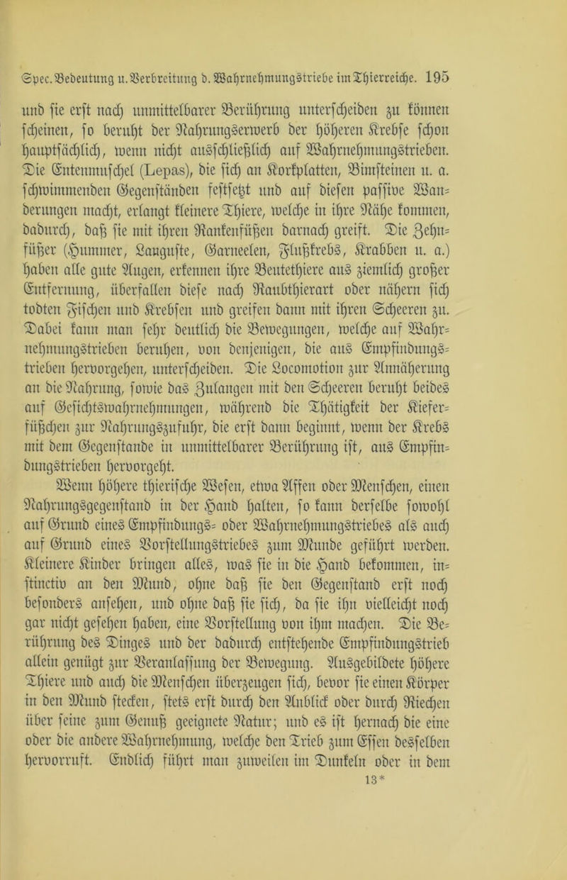 urtb fie erft nad) unmittelbarer 23erüf)rung unterfdjeiben 51t tonnen f deinen, fo beruht ber 9M)rungSermerb ber f)öt)eren Strebfe fdjon Ijauptfädjtid), meint nidjt aitSfdjliefdid) auf 2Sat)rnet)mungStriebett. Xie (Snteumufdjel (Lepas), bie fidj au Sforfplatten, 23iiitfteineit lt. a. fdjmintmcnben ©egenftiinbeit feftfept unb auf btefeit paffioe 2öan= berungen ntadjt, erlangt fteinere ‘Sljiere, meldje tu if)re 9tal)e fontmen, baburdj, bafj fie mit ifjrett iRanfenfüfsett bantad) greift. 2)ie $ef)n= fitper (Rümmer, Saugufte, ©arneeten, ^IttfffrebS, Krabben lt. a.) tjabett alte gute klugen, erfennen iljre 93eittetf)iere aitS giemlid; großer (Sntfermtng, überfallen biefe nad) 9taubtf)ierart ober nät)ern fidj tobten ^ifdjen unb Ärebfen unb greifen bann mit ifjren ©djeerett 511. ®abei fann mau fetjr beittlid) bie iöemcgungett, meldje auf s2Sal)r= nefjtnungStrieben berufen, 0011 benfenigen, bie aus (£ntpfiitbuugS= trieben tjerborgetjen, unterfdjeibett. ®ie Socomotioit zur Slttnctfjerung au bie 9cal)rung, fomie baS ßulaitgeit mit beu0d)eereit beruht beibeS auf ©eftdjtsmafjrneljmungen, mäfjrenb bie iüjätigfeit ber tiefer; fitfjdjeit gur 9caf)ruug§§ufuf)r, bie erft bann beginnt, meint ber ®rebS mit beut ©egenftanbe in unmittelbarer Söerüfjrung ift, au» ©mpfim bungStrieben fjerüorgelt. SSeun fjötjere t^ierifcf)e SSefen, etma Riffen ober SDieitfdjen, eilten 9taf)rungSgegenftanb in ber §anb t) alten, fo fann berfelbe fomotjl auf ©runb eines ©mpfiitbuitgS= ober SSaljrneljmungStriebeS als and) auf @rttnb eines SSorftellungStriebeS 511m SJtunbe geführt merbett. kleinere Äinber bringen altes, maS fie in bie §aub befommen, in= ftinctin att bett SOhutb, of)ne baf3 fie beit ©egenftanb erft ttod) befottberS anfeljett, unb ot)ue bafj fie fidj, ba fie iljit oielteidjt ttod) gar nidjt gefeiert fjabeit, eine 23orftelluug 001t iljm madjen. ®ie Se- rüfjrung beS ®ittgeS uttb ber babttref; entfte^enbe (SmpfinbungStrieb allein genügt zur SSerantaffnng ber iöemegititg. 5luSgebilbete Ijöljere Sljiere unb attd) bieÜJtenfdjeit überzeugen fidj, betior fie einen Körper in beit 9J?uitb fteden, ftetS erft bttrdj beit Slitblid ober bttrdj Stiegen über feilte gittit ©enitfj geeignete 9latitr; unb eS ift Ijernadj bie eine ober bie aitbere SBaljrnefjntung, meldje ben Xrieb §um (Sffen beSfclbcit Ijeroorruft. ©itblid) fiiljrt man zumeilen im IDititfeln ober in beut 13*