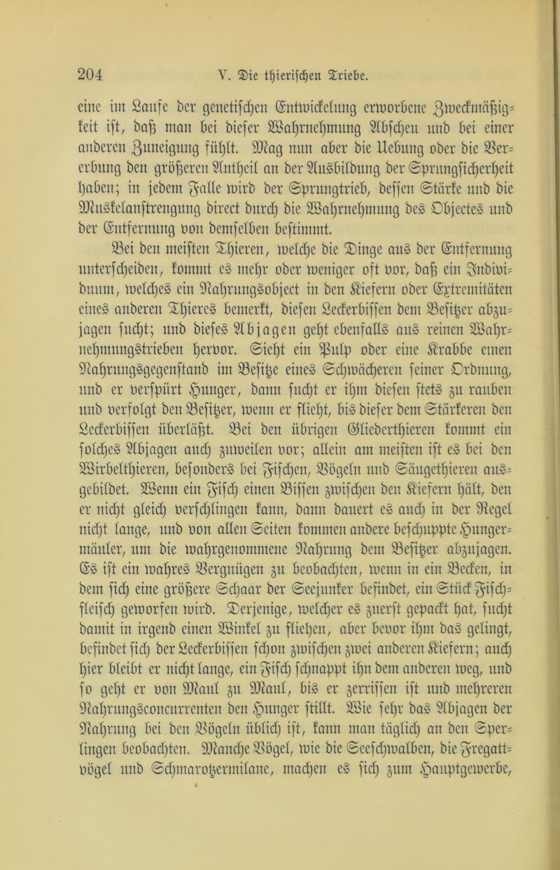 eine im Saufe ber genetifdpen (Enüoidelung ertoorBene ßioedmäfjigs fett ift, bafs man Bei biefer Söaprnepmung SIBfcpeu itnb Bei einer anbereu ßuneigung füplt. Sftag nun aBer bie UeBitng ober bie $er= erBung beit größeren ?Xntpeil au ber ?XuSBilbung ber ©pntngfidperpeit paBeit; in jebent $alle loirb ber ©prungtrieb, beffen ©tärfe unb bie föluSfelanftrengitng birect burcp bie SBaprnepmung beS Objecte» unb ber (Entfernung üoit bcntfcIBen beftirnmt. 93ei beit nteiften gieren, nietete bie £)inge aus ber (Entfernung unterfdjeiben, fommt eS ntepr ober loettiger oft üor, baff ein 3>nbiüi= bitunt, loeldjeS ein ^aprungSobject itt ben liefern ober (Extremitäten eine§ anbereu SpiereS Bemcrft, biefen SecferBiffen bent Sßefiper aB§u= jageu fitd)t; unb bicfeS ?XBjageit gept ebenfalls aus reinen SBaf)r= nepmitngStrieBeit peröor. ©iept ein ^ßulp ober eine Krabbe einen SXapruitgSgegenftanb im 33efipe eines ©djtoädperen feiner Drbmtitg, ttnb er oerfpiirt junger, bann fitest er ipm biefen ftetS 511 rauben itnb oerfolgt ben Söefitjer, toenn er fließt, bis biefer bent ©tarieren ben SecferBiffen überläfjt. 23ci ben übrigen ©liebertpieren fommt ein foldjeS 9Xbjagen audp 3100 et len oor; allein am nteiften ift eS Bei ben SSirbeltpieren, BefonberS Bei $ifcpen, Vögeln unb ©äugetpiereu auS= gcBilbct. SBenn ein einen SSiffen 3toifdjen beit liefern pält, ben er nidjt gleidj üerfcpliitgeit fanit, bann bauert eS aud) iu ber Siegel uid)t lauge, unb üon allen ©eiten fommen anbere Befdjuppte junger- müitler, um bie toaprgenomntene Oiapritug bent SBefifcer abgujagen. (ES ift ein loapreS Vergnügen 51t Beobadjteit, locnu in eilt Söedfen, in bent fid) eine größere ©dpaar ber ©eejunfer Befinbet, ein ©tücf $ifdj= flcifd) gemorfeit loirb. derjenige, iocld)er cS guerft gepadt pat, fud)t bantit in irgettb eilten ÜBinfel 31t fließen, aber Beoor ipm baS gelingt, Befinbet fid) ber SecferBiffen fd)oit gtoifdpengloei auberen liefern; aitd) pier Bleibt er nidjt lange, ein $ifdj fdpnappt ifjit bent anberen locg, unb fo gept er 001t SOiattl 31t SOiaitl, bis er gerriffen ift unb mehreren ^aprungSconcurrenten ben junger füllt. 2Bie fepr baS SXBjagcn ber Scaprung Bei ben Vögeln itblidj ift, famt man täglidj an beit ©per= lingen BeoBadpten. üDZandje SSögel, lote bie ©eefdptoalben, bie $regatt= oögel unb ©djmaroperntilane, madpen eS fid) 311111 §auptgeioerBe,