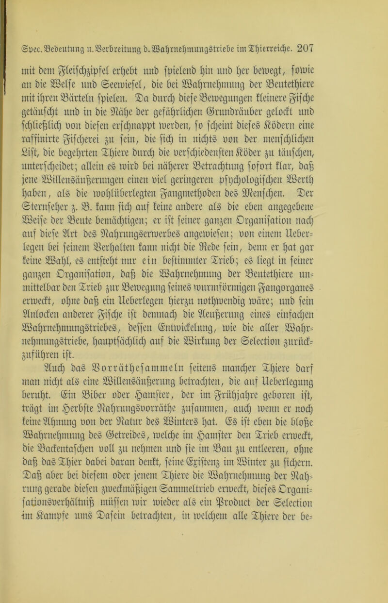 mit bem gleifchsipfet ergebt unb fpielenb f)in unb f)er bemegt, foiuie an bie SBelfe unb Seemiefel, bie bei SSafjrne^mung ber Beutethiere mit ihren Bärteln fpieben. SDa burrf) biefe Beilegungen Heinere gifcfje getäufdjt unb in bie Dtäfje ber gefäfjrlidjen ©ruitbräuber gelocft unb fdfjliefclid) non biefen ei'fcfjnappt merbeit, fo fdjeint biefe§ Äöbern eine raffinirte ^ifdjerei ju fein, bie fid; in nichts ooit ber ntenfcpdjen Sift, bie begehrten Xt)iere burd) bie uerfcfjiebenftenSöber 51t tauften, itnterfd)eibet; allein e§ mirb bei näherer Betrachtung fofort tlar, bafs jene BMllenSäufjerungen einen nie! geringeren pftjdjologifdjen SSertf) haben, al3 bie mohlüberlegten gangmetfjoben be» sDienfcf)en. Der Sternfefjer 5. 33. fann fid) auf feine anbere al3 bie eben angegebene äöeife ber Beute bemächtigen; er ift feiner ganzen Drganifation nad) auf biefe 5lrt bc§ 9tahrungSermerbeS attgemiefen; non einem Ueber- legen bei feinem Berhalten fann nidjt bie 9iebe fein, beim er hat gar feine 28af)l, e3 entfteht nur ein beftimmter SErieb; e§ liegt in feiner ganzen Drganifation, baf3 bie SSahrneljmung ber Beutethiere nn= mittelbar beit SErieb §nr Bemegung feinet murmförmigen gaitgorgane» ennecft, ohne bah ein Ucberlegen fjiergu notljmenbig märe; unb fein Slnloden anberer $ifd)e ift bemnacfj bie 31cuf;erung eine» einfachen äöahrnehntungStriebeS, beffen (Sntmidelung, mie bie aller 2öal)r= nehmungStriebe, hauptfädjlid) auf bie SBtrfung ber Selectioit §urüdf= gitfithren ift. Sind; ba§ Borrätl)cfantmeln feitenS mandjer SEl)iere barf man nidjt ab» eine 2Billeit§änpernng betrachten, bie auf Ueberlegnng beruht (Sin Biber ober pautfter, ber im Frühjahre geboren ift, trägt im |)erbfte 91a()ruug»norräthe gufamnten, aud; meint er noch feine 3lf)nung 001t ber Statur be£ B3inter§ l;at. ift eben bie blofäc 2ßaf)ruel)mung bc» betreibe», meldje int ^pamfter beit Xrieb crmedt, bie Bacfentafdjen ooll 51t nehmen unb fie im Bau 31t entleeren, ohne bah ba§ SEhier babei baran benft, feilte (Sjiftenj imSöinter 31t fidjent. Dag aber bei biefent ober jenem SEljiere bie SBahrnehntung ber 9tah= ntnggerabe biefen jmedmähigen Sammeltrieb ermedt, biefe» Drgaiti= fationSüerhältnih müffen mir micber al» ein ißrobuct ber Selection int Kampfe um£ Dafein betrachten, in meldjem alle Df)iere ber be=