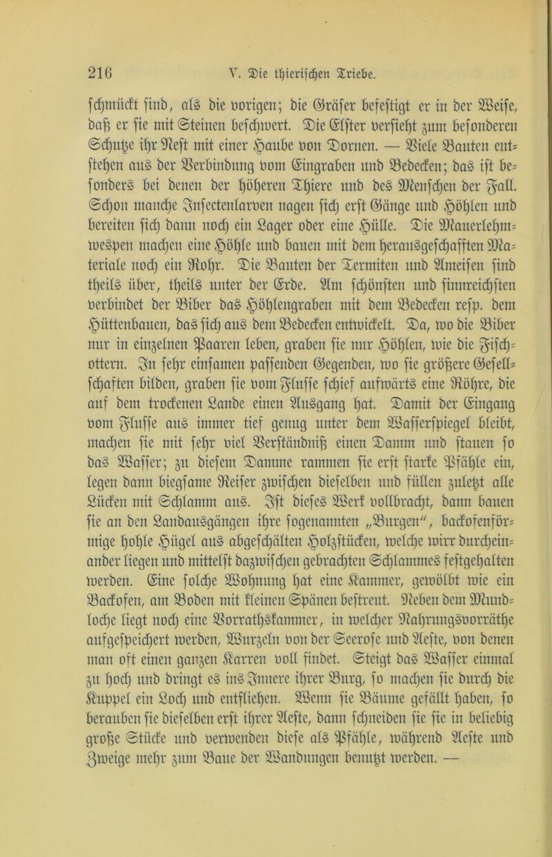 fdpnüdt finb, alg bie Hörigen; bie @räfer befeftigt er in ber Steife, bafs er fte mit ©leinen Befcfymert. 2)ie©lfter oerfieljt junt befonberen ©d)upe i()r Seft mit einer §aube oon SDortten. — Siele Sauten ent* fielen aug ber Serbinbitttg üom ©ingraben nnb Sebeden; bag ift be= fonber^ bei bcnen ber f)üf)eren Xfjierc nnb bc§ SSenfdjen ber galt, ©djott manche Snfectenlarüen nagen fid) erft @änge nnb ^öljlen nnb bereiten fid) bann nod) ein Säger ober eine $üHe. ®ie 9Jtauerlef)m= megpett machen eine§ö!f)te nnb bauen mit bemheranggefdjafften 9Sa= teriate nod) ein Soljr. 5Die Santen ber Termiten nnb Slmeifen fiitb ttjeilg über, tfjeilg unter ber ©rbe. 2lm fcfjönften nnb finnreid)ften oerbinbet ber Sibcr bag §öl)lettgraben mit bent Sebeden refp. bent §üttenbauen, bag fid) ang bent Sebeden entmidett. 2)a, mo bie Siber nur in einzelnen paaren leben, graben fie nur §öl)ten, mie bie gifcfj* Ottern, $tt fefjr einfamen paffenben ©tegenbett, mo fte größere ©efeil* fd)aften bitben, graben fte üom^luffe fdjief anfmärtg eine Söhre, bie auf bent trodenen Sanbe einen Sluggang t)at. ®amit ber ©ingang Hont bluffe aug immer tief genug unter bent SBafferfpiegel bleibt, ntad)en fie mit fel)r öiet Serffänbnifj einen SDantm nnb flauen fo bag SBaffer; 51t biefem ®amnte rammen fte erft ftarte Sßfäjjle ein, legen bann biegfante Reifer gmifdjen biefeiben nnb füllen §ule|t alle Süden mit ©d)latnnt ang. Sft biefeg Ster! oollbradjt, bann bauen fte an ben Sanbauggängen tljre fogettannten „Surgen, badofenför= mige b)o^fe §itgel aug abgefdfälten §oI§ftitden, mcldje mirr burcf)cin= anber liegen nnb mittelft bajmifdjen gebrachten ©d) lammeg f eftgeh alten merben. ©ine fo!d)e Stellung I)at eine Kammer, gemölbt mie ein Sadofen, am Soben mit deinen ©peilten beftreut. Sehen bent 2Sunb= Iod)e liegt nod) eine Sorratt)gfammer, in meld)er Sat)ritnggoorrätl)e aufgefpeid)ert merben, Stendeln oon ber ©ccrofc ttitb SXefte, oon betten matt oft einen ganzen Darren ooll fiitbet. ©teigt bag S$affer einmal 51t I)od) uttb bringt eg ing innere ihrer Sttrg, fo mad)en fie bttrd) bie Kuppel ein Sod) ttnb entfliehen. Stenn fie Säume gefällt haben, fo berauben fie bief eiben erft ihrer Slefte, bann fdjneibeit fie fie in beliebig grofjc ©tüde ttnb oermenben biefe alg pfähle, mäl)rettb Slefte nnb ßmeige mehr 51111t Satte ber Stonbmtgen benupt merben. —