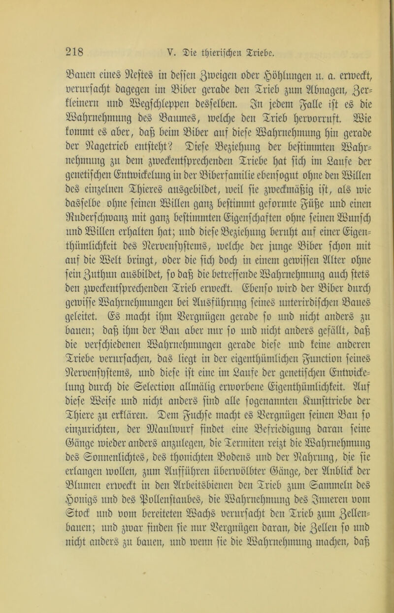 SSaiten eineg ÜJtefteS in beffen 3 tu eigen ober § Ortungen it. a. ermedt, oerurfad)t bagegen int 33iber gerabe ben Xrieb 511m Abnagen, 3er= f(einem itnb 2Begfd)(e:ppcn begfetben. Sn jebent Sode ift eS bie 3Sa()rncf)mnng beS 33aitrneS, me(d)e ben Srieb (jeroorruft. 28ie fontntt eS aber, baff beim 33iber auf biefe 3Baf)rne()mung f)in gerabe ber Siagetrieb entfielt? S)iefe 33egief)uitg ber beftimmten 233a()r= ne()mitng 51t bent gmedeittfpredjenben Triebe ()at fid) im Saufe ber genetifdjen ©nttuidelung in ber SSiberfamilie ebenfogut ohne beit SBideit bc§ einzelnen X()iereg attSgebdbet, tuei( fie gtuedntühig ift, a(S tuie bagfelbe o()tte feinen SSideit gang beftimmt geformte Süfse uub einen Stitberfdpoang mit gang beftimmten ©igcnfdjaften ofjtte feinen SBititfd) ttnb SBiden erhalten f)at; unb biefe 23egief)uug beruht auf einer ©gern tl)üm(id)feit be§ 9ierüenft)ftem§, me(d)e ber junge 33iber fdjon mit auf bie 2ße(t bringt, ober bie fid) bod) in einem getuiffen Filter otjne feilt ßut^un aitSbdbet, fobafs bie betreffeitbe 2Baf)rne()ntung and) ftetg ben gmedeittfpredjenben STrieb ermedt. ©beitfo mirb ber 23iber bttrd) gemiffe 3Sa()rne()mungen bei Ausführung feineg itnterirbifdjen 33aneS geleitet. ©S mad)t i()nt Vergnügen gerabe fo ttttb nid)t attberg gu bauen; bah i()nt ber 33au aber nur fo uub nicht anbei» gefädt, bah bie tierfdjiebeneu 2Ba()ritef)iimitgett gerabe biefe unb feine anberen Triebe oerurfadjen, baS liegt in ber eigentümlichen gunction feines SterüenfpftentS, unb biefe ift eine im Saufe ber genetifdjen Qmttuide= (ung bttrd) bie ©electioit admälig ertuorbene (£'igent()üm(id)feit. Stuf biefe SBeife unb nid)t anberS fiitb ade fogenannten Äunfttriebe ber Xfjiere gu erftären. (Sem $ud)fe mad)t eS Vergnügen feinen SBatt fo eingurid)ten, ber 9}?au(murf finbet eine 33efriebigung baratt feine ©äuge mieber anberS angtdcgett, bie Sermiteu reigt bie 2Sal)rnehmuitg beS ®oiuten(id)teS, beS tf)onid)teit 33obcttS unb ber Nahrung, bie fie erlangen modelt, gunt Auffüf)ren übermölbter ©äuge, ber Anblid ber 33(unten ertuedt iit beit Arbeitsbienen beit Srieb gunt ©antmcüt beg $onigS tutb beg ißodenftaitbeS, bie äBa()rne()ntnng beg inneren Dom @tod uub üont bereiteten A3ad)S uentrfad)t beit Xrieb gunt ßeüetu bauen; unb gmar fiitbcu fie nur Vergnügen barait, bie ßeden fo unb itid)t aitberg gu bauen, uub meint fie bie 2öaf)rnef)mung machen, bah