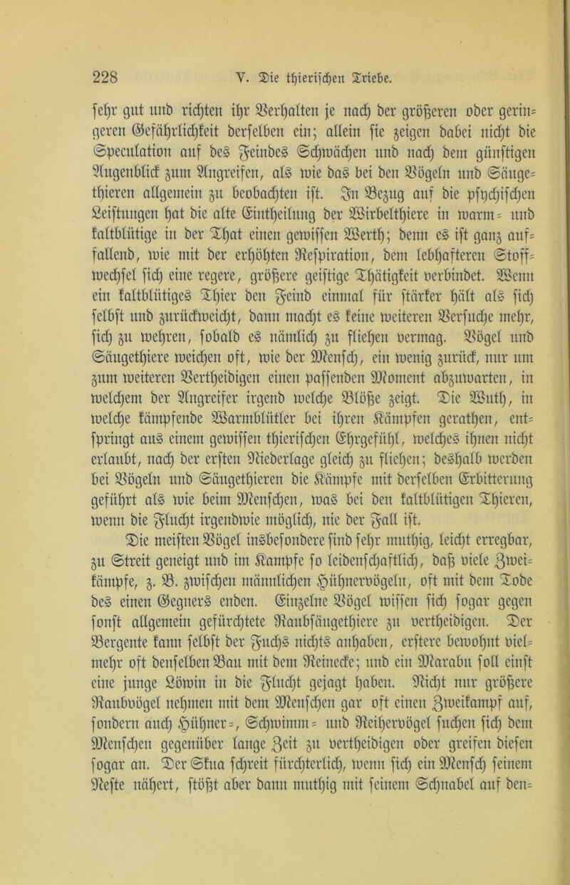 fefjr gut unb richten it)r ©erhalten je nad) ber größeren ober gertn= gercu @efäljrlid)feit berfeiben ein; allein fie geigen babei nicf)t bie ©peculation auf be§ ffeinbeg ©djmädjeit unb nad) bem günftigeit Slugenblid gitnt Eingreifen, al§ mie ba§ bei ben Vögeln unb @äitge= tfjieren allgemein gu beobachten ift. Sn S3e§ug auf bie pfpd)ifd)en Stiftungen hat bie alte (Sintljeilung ber SBirbeltljiere in mann = unb faltblütige in ber Hl)at einen gemiffen SBertf); beim e§ ift gang auf= fallcnb, mie mit ber erf)öl)ten Siefpiration, bem lebhafteren (Stoff= med)fel fid) eine regere, größere geiftige Xfjätigfeit oerbinbet. SSenn ein faltblütige^ Xfjier ben ffeinb einmal für ftärfer hält al§ fid) felbft unb guritdmeidjt, bann mad)t e§ feine meiteren ©erfudje mel)r, fid) §u mehren, fobalb e§ nämlid) gu fließen oermag. ©ögel unb ©äugetljiere meinen oft, mie ber ÜDieufd), ein menig guritd, nur um gittn meiteren ©ertljeibigen einen paffenben Moment abgumarten, in meinem ber Singreifer irgcnb meld)e 33löfje geigt. Hie Sßutl), in meldje fämpfenbe Söarmbliitler bei ihren Kämpfen gerätsen, ent= fpringt au§ einem gemiffen tl)ierifd)en ©fjrgefüffl, meines ihnen nid)t ertaubt, nad) ber erften Sliebertage gleid) gu fliehen; beSpalb merben bei ©ögeln unb (Säugetieren bie Kämpfe mit berfeiben (Erbitterung geführt al§ mie beim SJlenfdjen, ma§ bei ben faltblütigen Xpieren, menn bie ff lud) t irgenbmie mögtid), uic ber ff all ift. Hie meiften ©ögel iu§befonbcrefinbfel)r mutl)ig, leid)t erregbar, gu (Streit geneigt unb im Kampfe fo leibeitfdjaftlid), baf? oiele 3>oei- fämpfe, g. S3. gmifdjen männlichen §üljnerüögeltt, oft mit bem Hobe be§ einen ©egner§ enben. (Singeine Sßögel miffcn fid) fogar gegen fonft allgemein gefürchtete St aubf äuget f)iere gu üertljeibigen. Her SSergente faitit felbft ber ffitd)§ nichts anl)abcn, elftere bemofjnt üiel= me^r oft benfeiben S3au mit bem Steinede; unb ein Marabu foll einft eine junge Sömiit in bie $lud)t gejagt haben. 9tid)t nur größere Slaitbüögel nehmen mit bem ÜDtenfdjen gar oft einen ßmeifantpf auf, fonbern and) §üt)ner=, @d)miutm= unb Steiljerüögel fudjen fid) bem SJtenfdjen gegenüber lange ßcit gu üertljeibigen ober greifen biefeit fogar an. Her @fua fd)reit fürd)terlid), menn fid) ein SJienfch feinem Stefte nähert, ftöjjt aber bann mutl)ig mit feinem Schnabel auf bem