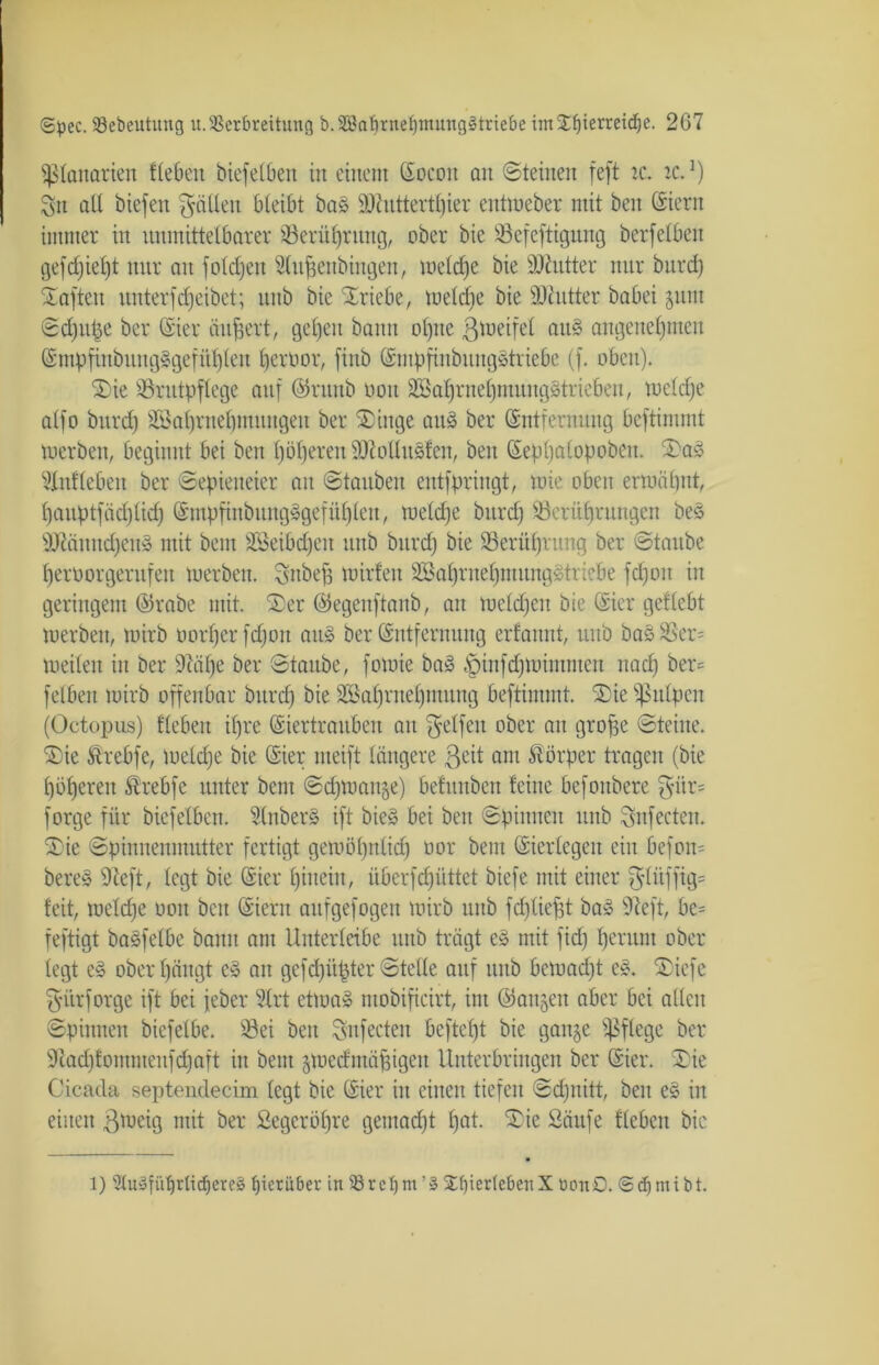 ißlanarien lieben biefeCbeit in einem Eocott au ©teilten feft ze. zc.1) Sn alt biefen fällen bleibt ba§ 9)iuttertt)ier entiueber mit ben (Siern immer in unmittelbarer ^Berührung, ober bie SSefeftigung berfelbeit gefd)ief)t nur an folcfjen Slufjenbingen, meld)e bie Butter nur bitrd) haften unterfcfjeibet; unb bie Triebe, melcfie bie iOcutter babei 311111 ©dptpe ber Eier äußert, gehen bann ot)ite ßmeifel au§ angenehmen Empfinbung§gefithlen hernor, ftnb EmpfinbungStriebe (f. oben). Sie ^Brutpflege auf ©rmtb 001t 2Babjrnel)mung§triebett, meldje alfo burd) Sßahwehmuttgeu ber Singe amS ber Entfernung beftimmt merben, beginnt bei ben höheren ÜDMuäfen, beit Eepl)alopoben. Sa» Wieben ber ©epietteier au ©tauben entfpringt, mie oben ermähnt, hauptsächlich Empfinbitng^gefühleu, meldje bitrd) ^Berührungen be§ 9J?ännd)en§ mit beut SBeibdjen unb bitrd) bie Berührung ber ©taube herüorgerufen merben. ^nbef) mirfeit 3Bahruehimtng§trie6e fd)oit in geringem ©rabe mit. Ser ©egeitftnnb, au meld)cit bie Eier gefleht merben, mirb oorher fd)oit att§ ber Entfernung erfannt, unb ba§Ser= meileit in ber ÜM)e ber ©taube, fomie ba3 §infchmtmnten nach ber= felben mirb offenbar bitrd) bie 2Sahrnel)mung beftimmt. Sie ißulpen (Octopus) lieben ihre Eiertrauben an Reifen ober an grofje ©teilte. Sie Ärebfe, metd)e bie Eier rneift längere ßeit atu Körper tragen (bie höheren Ärebfe unter beut ©dpuattse) belitubett leine befoitbere $ür= forge für biefelben. S(nber§ ift bie§ bei ben ©pinnen unb Snfecteit. Sie ©pinnenmutter fertigt gemö()nlid) oor beut Eierlegen ein befom bere§ 97eft, legt bie Eier hinein, überfdpittet biefe mit einer $Iitffig= feit, mcld)e 001t beit Eient aufgefogen mirb unb fehltest ba£ 91eft, be= feftigt baäfelbe bann am Unterleibe uttb trägt e§ mit fid) herum ober legt e3 ober hängt e§ au gefd)ü|ter ©teile auf unb bemad)t e». Sicfc §i'trforge ift bei feber 51rt etma» mobifieirt, im ©augeit aber bei alten ©pinnen biefelbe. Sei ben Sitfeeteit beftel)t bie gan^e pflege ber 9cad)fontiiteufd)aft in beut jmecfmäfjigen Unterbringen ber Eier. Sie Cicada septendecim legt bie Eier iit einen tiefen ©dptitt, ben es in einen ßmeig mit ber 2egcröl)re geutad)t l)ut. Sic ßäufe lieben bie 1) ^uspüfjrlidjeteä fjierübev in 33ref)tn XpiertcbeitX üonO. (Sdjmi bt.