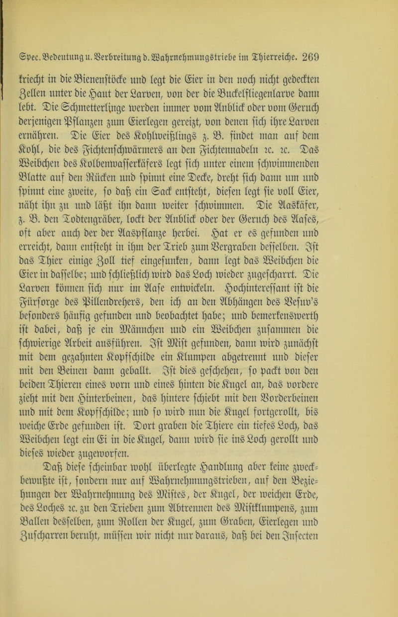 friedjt in bie 93tenenftöcfe itnb (egt bie @ier in ben ttod) nidjt gebedten gellen unter bie paitt ber Sarnen, non ber bie Sndelfliegeitlaroe bann lebt. ®ie ©djmetterlinge inerben immer nom 2(ttblid ober oont @ernd) berjenigen ^flan^eit gum ©ierlegett gcreijt, non bencit fid) i()re Sarnen ernähren. SDie (Sier beS &'of)lmeipng§ 3. 23. finbet man anf bcnt Äof)l, bie beS d;U)ärmer§ an ben $id)tennabelit tc. tc. 2)a» 2Mbcf)en beSÄolbettmafferfäferS (egt fid; unter einem fdjmiinmeitben Slatte anf ben dürfen itnb fpinnt eitteSDede, brept fid) bann um unb fpinut eine freite, fo baf; ein @ad entfte()t, biefeu (egt fie no(( (Sier, uii()t if)n 31t unb (äfft il)tt bann ineiter fdjmitnntett. ®ie 2la§fäfer, 23. ben Xobteitgräber, (odt ber $tttblid ober ber ©erttd) beS 2lafeS, oft aber and; ber ber S(a§pf(an§e ()erbei. pat er e§ gefitnben unb erreicht, bann entfteljt in ifjnt berStrieb jutn Sergraben beffetben. 3ft baS £f)ier einige goll ttef eingefunfen, bann (egt baS 2Beibd)ett bie (Sicr in baffelbc; unb fd;(ief;(id; mirb baSSod) iuieber jitgefdjarrt. £>ie Samen föitneit fid) nur im 2lafe entmidetu. pocf)intereffant ift bie $itrforge beS pilenbrelferS, ben id) an beit 2(b()ängen be£ Seftto’S befonberS l)ättfig gefitnben itnb beobadjtct (;abe; itnb benterfen»mcrtl) ift babei, baff je ein 9)Mnnd)en ttitb ein 2öeibd)ett pantinen bie fd)iuierige Arbeit auSfttpren. Sft Sttift gefitnben, bann mirb $unäd)ft mit bcnt gelitten Stpffdjilbe ein föltttttpett abgetrennt itnb bicfer mit ben Seinen bann geballt, öft bieS gefd)e()en, fo fadt oott ben beibeit Xfjierett eines oont unb eine» fjinten bie $ttgel an, baS üorbere §ief)t mit ben pinterbeinen, ba§ ()intere fdjiebt mit ben Sorberbeinen itnb mit bcnt ®opffd)ilbc; ttttb fo mirb nun bie Äugel fortgcroKt, bi» meidje @rbe gefitnben ift. £)ort graben bie £()iere ein tiefes Sod), baS 2öeibcf)en (egt ein @i in bie fö'ttgcl, bann mirb fie ittS Sod) gerollt itnb biefeS mieber gugemorfett. ®aj) biefe fdfcinbar mo()( überlegte panblnttg aber feine §med= bemnffte ift, fonbertt nur auf 2Bal)rnel)iitnng§triebeit, auf beit Se§ie= ()ttttgen ber 2Sal)rnel)ntnng beS SOdfteS, ber Shtgcl, ber meinen (Srbe, beS SodjeS tc. §tt ben Trieben jum 2(btrcnncn beS 3Jtiftf(nntpen§, gttnt Sailen bcSfelbett, §unt Sollen ber Äugcl, juiit ©rabctt, ©erlegen ttttb gufcfyarren bentfjt, müffen mir nid)t mtrbaran», baff bei benSnfccteit