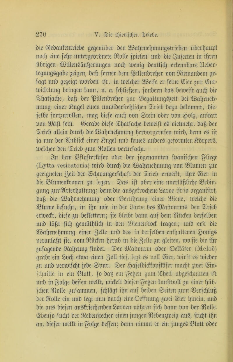 bie ©ebanfentriebe gegenüber ben S3at)rnehmnngStrieben überhaupt nod) eine fepr nntergeorbnete Solle fpielen nnb bie Snfecten in ihren übrigen SMtlenSönhernngen nod) tuenig bentlid) erfennbare Ueber= tegungSgabe geigen, baff ferner bent $ßiltenbref)er non Siemanbent ge= fogt nnb gegeigt morbcn ift, in metdjcr Söeife er feine (Sier gnr ©nt= micfetnng bringen fann, n. a. fdjfiefen, fonbern bas bemeift and) bie Xt)atfad)e, baf; ber Sßiüenbreljer gnr SegattnngSgeit bei 2Bat)rnet)= nutng einer Äuget einen nnmiberftel)tid)en Srieb bagn befommt, bie= felbe fortgurotten, mag biefe and) non ©teilt ober non §otg, anftatt non Stift fein, ©erabe biefe Spatfadje bemeift eS uielmepr, baff ber Xrieb allein bnrd) bie 2öat)rnet)mnng fjernorgernfen mirb, bcmt eS ift ja nur ber Slnblicf einer Äuget nnb feines anbcrS geformten ÄörperS, mctd)er ben Srieb gum Sollen nernrfad)t. Sn bcm jßftafterfäfer ober ber fogenannten fpanifdjett $tiege (Lytta vesieatoria) mirb bnrd) bie äöat)rnet)mnng non Sturnen gnr geeigneten ßeit ber ©d)iuangerfd)aft ber Sricb ermecft, ihre ©ier in bie Stnmenfroneit gn legen. 2)aS ift aber eine unerläßliche 33cbin= gung gnr 2trtert)attnng; beim bie auSgefrod)ene Same ift fo organifirt, baff bie 2Bat)rnet)mnng ober Serül)rung einer Siene, metdje bie Stume befud)t, in it)r mie in ber fiarne beS StaimurmS ben Srieb ermecft, biefe gn beftettern; fie bteibt bann auf bent Süden berfetben nnb läßt fid) gemütt)tid) in ben Sicnenftod tragen; nnb erft bie äöatjrnetjmung einer ßelle nnb beS in berfetben enthaltenen §onigS veranlaßt fie, oont Süden herab in bie gelte gn gleiten, mofie bie if)r gitfagenbe Nahrung finbet. Ser Staimurm ober Oetfäfer (Meloe) gräbt ein Sod) etroa einen golf tief, legt eS oott ©ier, mirft eS mieber gn nnb oertnifd)t jebe ©pur. Ser ,§afetbicffopffäfer macht gmei @in= fchnitte in ein Statt, fo bah ein $e|en gum Speit abgefdjnitten ift itnb in f^otge beffen metft, miefett biefen $e|en fnnftöott gu einer t)iib= fd)e:t Sötte gnfantmen, fd)lägt ipit auf beiben ©eiten gum Serfdjtnß ber Sötte ein nnb tegt nun bnrd) eine Oeffnung gmei ©ier hinein, nnb bie ans biefen anSfriechenbert Saroen nähren fid) bann tunt ber Sötte, ©benfo fuept ber Sebenftecper einen jungen Sebengmeig ans, ftid)t ipn an, biefer metft infolge beffen; bann nimmt er ein junges Statt ober