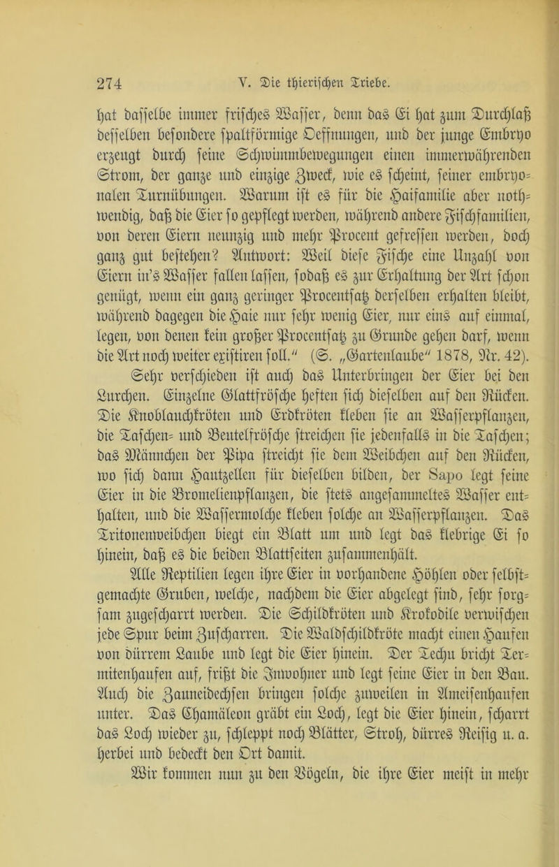 t)at baffeCöe immer frifdje§ SBaffer, beim baä (St pat gurn Turdjlap beffelbett befonbere fpaltförmige Deffmtngen, uitb ber junge Gntbrpo erzeugt burcf) feine Sdjmiintubemeguugeu einen intrnermäprenben Strom, ber gange unb einzige ßmed, mie e3 fdjeint, feiner embrpo= naten Turnübungen. äöarum ift e§ für bie §aifantilie aber itotp= meitbig, bafg bie Gier fo gepflegt merben, mäprenb artbere $ifdjfantilteit, non bereu (Stern neunzig unb ntepr ^rocent gefreffen loerben, bodj gang gut beftepen? Slntmort: SBeil biefe $ifd)e eilte Ungaf)! ooit (Siern iit’SSßaffer fallen taffen, fobafs e§ gttr Grpaltuitg berSlrt fdjoit genügt, lueitit ein gang geringer ißroeeittfap berfelbeit erhalten bleibt, mäprenb bagegeit bie^aic nur febjr loeuig (Sier, nur eins auf einmal, legen, ooit betten lein großer ^rocentfap guGrttttbe gepen barf, meint bie Slrt nod) meiter epiftireit foll. (@. „Gartenlaube 1878, Sr. 42). ©epr oerfdjiebeit ift and; ba§ Unterbringen ber Gier bei beit Sttrdjen. Gingeltte Glattfröfcpe pefteit fidj biefelben auf ben Sttcfeit. Tie $noblaucpfröten unb Grbfröten Heben fie an SSafferpflangen, bie Tafdjem unb Seutelfröfdje ftreicpeit fie jebenfalls in bie Tafcpeit; bas DJainndjcit ber Sßipa ftreidjt fie bcm Sßeibcpen auf ben Süden, mo fid) bann §autgellen für biefelben btlben, ber Sapo legt feine Gier in bie S9rotitelienpflangen, bie ftet» angefantmeltes TBaffer eut= palten, unb bie Söafferntoldje Heben foldfe an Söafferp)flaitgen. Ta§ Tritonenmeibdjeit biegt ein Statt um ttttb legt ba3 fiebrige Gi fo pineiit, bap e§ bie beibeit Slattfeiten gufammenpält. Stile Reptilien legen ipre Gier in oorpanbene §öplen ober felbft* getnadpe Gruben, meldje, nadjbent bie Gier abgelegt finb, fcpr forg= fam gugefdjarrt merbeit. Tie Sdplbfroteit unb $rofobile üermifcpen jebe Spur beim ^ufdjarren. Tie SBalbfcpilbfröte madjt einen Raufen ooit Dürrem Saube unb legt bie Gier pinein. Ter Tcdjtt bridjt Ter- ntitenpaiifen auf, fript bie Smoopner unb legt feine Gier iit ben Satt. Sind) bie ßanneibecpfen bringen folcpe gumeilen in Slmcifenpaufen unter. Ta3 Gpaiitüleoit gräbt eilt Sod), legt bie Gier pinein, fdjarrt ba§ Sod) mieber gtt, fdpeppt rtod) Slätter, Strop, bürre§ Seifig u. a. perbei unb bebedt ben Drt bantit. SÖir fomnten nun gu beit Sögeltt, bie ipre Gier meift iit mepr