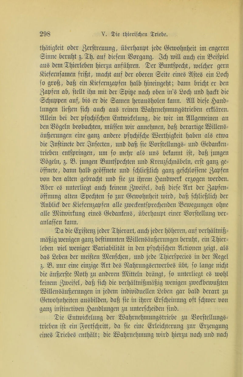 tfjcitigfeit ober 3erPreuung, überhaupt jebe ©emopnpeit im engeren @inne berufjt z- Xi), auf biefent Vorgang. 3d) mill and) ein Veifptel aug bem Xpierleben pterztt anfüpren. Xer 23itntfped)t, meldjer gern Kiefernfamen fript, ntadjt auf ber oberen Seite eiltet Slfteg ein ßod) fo grop, bap ein Kiefernzapfen palb pineingept; bann bridjt er beit ßapfen ab, fteUt ipn mit ber Spipe nad) oben in’g Sod) ttnb pacft bte Sdjuppeit auf, big er bie Samen perauspoten fann. M biefe paitb= hingen liefen fid) ancp aug reinen Sßaprttefpmutggtriebeu erflären. Mein bei ber pft)d)ifd)en ©ntmideluitg, bie mir im Mlgetneiiteit an beit Vögeln beobadpen, ntüffeit mir annepmen, bap berartige XöiUen^= auperitrtgett eine gang anbere pfpcpifcpe SBertpigfeit pabeit alg etma bie Snftincte ber Snfecten, ttnb bap fie Vorftellungg= ttnb @ebaitfeit= trieben entfpringen, itnt fo ntepr alg ttng befannt ift, bap jungen Vögeln, 5. 33. jungen Vitittfpedpeit uitb Kreugfcpnäbeln, erft gang ge= öffnete, bann patb geöffnete ttnb fcpliepticp ganz gefdpoffette 3aPfen ooit beit alten gebradft ttnb fie 51t iprent panbmerf erzogen merbeit. Mer e§ unterliegt attcp feinem Bmeifet, bap biefe Mt ber 3upfen= Öffnung alten Spedpen fo zur (55emopnpeit mirb, bap fdpieplid) ber Mblicf ber Kiefernzapfen alle zmccfentfpredjcitbcit Vemeguitgen opne alle SJätmirfung eineg ©ebanfeitg, überhaupt einer Vorftellung oer= anlaffeit fann. Xa bie (Spfteitg jeber Xlperart, and) jeber pöperett, auf öerf)ältttip= rnäptg mentgen ganz beftimmten VMeitgöttperitngen berupt, ein Xl)ier= leben oiel meniger Variabilität in beit pft)d)ifd)cn Mtionen zeigt, alg bag Sehen ber meiften äftenfdjen, unb jebe Xfperfpecieg in ber Vegel Z- V. nur eine einzige Mt beg iftaprunggermerbeg übt, fo lange nicpt bie äitperfte Piotp zu mtbereit Mitteln brängt, fo unterliegt eg molp feinem 3tt>eifet, bap fiep bie öerpältnipmäpig mentgen zmedbemupten SöiUengäuperungen in jebeitt iitbioibuellett Seben gar halb berart zu ©emopnpeiten aitgbilben, bap fie iit iprer @rfd)ciituttg oft fepmer 001t ganz inftinctiöen paitblttngeit zu unterfdjeibeit finb. Xie (Sntmidelung ber äöaprnepmunggtriebe zu Vorfteüungg= trieben ift ein f^'ortfepritt, ba fie eine ©rleidpcritng zur (Erzeugung eineg Xriebeg entpält; bie SBaprnepntung mirb piergit nad) ttnb nad)