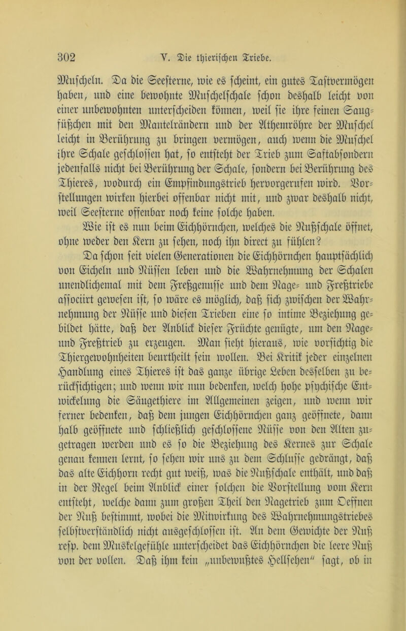 SJtufdjetu. £>a bie ©eefterne, luie eS fdjeint, ein gutes Xaftüermögett fjaben, mit eine bemotpite SJtufdjetfdjate fdjon beStjalb teidjt non einer itnbemof)nten unterf cf) eiben fömten, meit fie it)re feinen @aug= filmen mit beit SStautetränbern unb ber Sltfjemröljre ber SJtufd)et teidjt in S3erüt)rung 51t bringen öermögen, and) toenn bie SStufdjel if)re ©djate gefdjtoffeu t)at, fo entfielt ber Xrieb §iuit ©aftabfoitbent jebenfaltS nid)t bei Söerütjrung ber ©djate, fonbern bei 23erüf)rung beS Xf)iereS, moburd) ein GmpfinbungStrieb tjeroorgerufen mirb. $8or= ftellnngen mirfett hierbei offenbar nidjt mit, unb jtuar beStjatb nidjt, meit ©eefterne offenbar nod) feine folcfje t)aben. SBie ift eS nun beim Gid)£)örnd)en, metdjeS bie 9iu^fd;ale öffnet, otjite meber beit $ern 51t felfen, nod) ijjit birect 51t fügten? Xafdjoit feit nieten Generationen bie @id)f)örnd)eu fjauptfädflid) non Gidjetn unb Stiiffen leben unb bie 2öaf)ruef)mung ber ®d)ateit unenbtidjemat mit beut ^reffgemtffe unb bent Stage= unb fyrefitriebe affociirt geloefen ift, fo märe eS ntögtid), baf] fid) gmifdjen beräBaf)r= netjmung ber Stitffe unb bicfen Trieben eine fo intime Söc^ietjung gc= bitbet t)ätte, baff ber Stublid biefer $rüdite genügte, um beit Stage= unb ^rejftrieb gu erzeugen. SJtan fiet)t IjierauS, mie oorficf)tig bie £t)iergemot)ut)eiten beurteilt fein motten. 93ei föritif jeber einzelnen ^anbtung eines Xf)iereS ift baS ganje übrige Seben beSfelbeit 511 be= riidficf)tigen; unb meint mir nun bebenten, metd) t)ot)e pfpdjifdje (£nt= midetung bie ©äugetfjiere int Slltgemeinen geigen, unb memt mir ferner bebenten, baf] bent jungen Gsid)t)örnd)eit gan§ geöffnete, bann bjatb geöffnete unb fdjtiefdidj gefcfjtoffene Stiiffe oon beit Sitten §u= getragen merben ttitb eS fo bie 93e§iel)uug beS fernes jur ©djate genau feinten terut, fo fetjeit mir uns 51t bent ©djtitffe gebrängt, baf] baS alte @id)f)orn redjt gut toeif], maS bieStufifdjale enttjätt, unb baff in ber Sieget beim Stnbtid einer fotdjen bie Sßorftetlung 0011t $ent entftetjt, metdje bann 511111 großen Xt)eil ben Stagetrieb 51101 ©effneu ber Stuf] beftintmt, mobei bie SStitmirfung beS 2£at)rnef)ntungStriebeS felbftoerftänbtidj itid)t auSgefdjtoffen ift. Sin bent Geloidjte ber Stuf] refp. bent SJtuSfetgefüljle uuterfdjeibet baS Gid)f)örnd)en bie teere Stuf] oon ber üollen. Xaf] it)nt fein „unbemuf]teS £>eltfet)en fagt, ob in