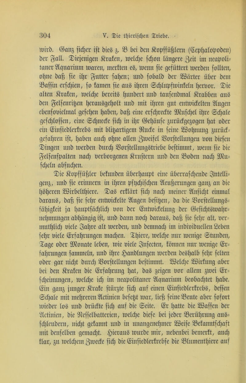 toirb. @0115 ficßer i[t bieg g. 23 bei beit Kopffüßlern ((Sepßalopoben) ber gall. diejenigen Kralen, toeldje fd)ott längere $eit int neapolü torter Slquariitnt toareit, merften e§, tuettn fie gefüttert toerbett füllten, olpte baß fie ißr $utter faßen; unb fobalb ber Sßärter über bent 23affiit erfcßiett, fo fantett fie att§ ißren ©djlnpfioinlelit ßeroor. SDie alten Kralen, toeldje bereite ßmtbert nnb taitfenbmal Krabbelt aus beit gelfeitrißeit ßerauägeßolt ttttb mit ißren gut enttoidelten Singen ebenfoüielmal gefeßen ßabeit, baß eine erfdjredte SÖhtfcßel ißre ©djate gefdjloffen, eine ©djnede fid) in ißr (Seßäufe gurüdgegogen ßat ober ein (Sinfieblerfrebä mit blißartigent 9iude in feine 2Boßnung gurü<f= gefaßreit ift, ßabett and) oßne allen ßtoeifel Siorftellnttgen oott biefeit Gingen ttttb toerbett bttrd) 23orftellitngstriebe beftimmt, toenn fie bie f^elfenfpalten nad) verborgenen Krnftern nnb beit 23obett nad) SDcm fdjeltt abfttdfen. ®ie Kopffüßler befititbeit iiberßanpt eine überrafcßettbe SntellH gen§ r nnb fie erinnern in ißren pfpdjifdfett Sleußernngen gan§ an bie ßößeren SBirbeltßiere. ®a§ erflärt fid) nad) meiner Slnficßt einmal baratt3, baß fie feßr entmidelte Singen befißeit, ba bie 23orftellitng§= fäßigfeit fa ßauptfäcßlicß oon ber (Sntloidelitng ber @eficßt3toaßr= neßntttngen abßäitgigift, nnb bann ttod) barattS, baß fie feßr alt, oer= imttßlicß viele ^aßre alt toerbeit, unb bentnad) im inbioibnellen Sebeit feßr viele (Srfaßrungeit ntad)ett. SEßiere, toeld)e nur toenige ©tmtben, Sage ober Monate leben, toie viele önfecteit, föntten nur toenige (Sr= faßruitgen famnteln, unb ißre ^aitblnitgen toerben begßalb feßr feiten ober gar itid)t bttrd) 2$orftettungen beftimmt. SßSeldje 28irlung aber bei ben Krafen bie (Srfaßrttng ßat, ba§ geigen oor allem gtoei (Sr= fcßeinitngen, toelcße id) im neapolitaitcr Slqitariunt beobad)tet ßabe. (Sin gang junger Krale ftürgte ficß auf einen (Sinfteblerfreb§, beffeit ©cßale mit meßrerett Slctiniett befcßt toar, ließ feine 23eitte aber fofort toieber lo§ nnb britcfte fid) auf bie ©eite. (Sr ßatte bie SSaffen ber Slctiniett, bie Sieffelbatterien, toelcße biefe bei jeber 23erüßrung att§= fcßleubern, uicßt getannt nnb in unangetteßnter SBeife 23efanntfd)aft mit benfelben gentad)t. ^pieraitg toitrbe mir, nebenbei bemerft, aud) Har, git toeld)em ßtoede fid) bie (Siitfieblerfrebfe bie 23lumentßiere attf