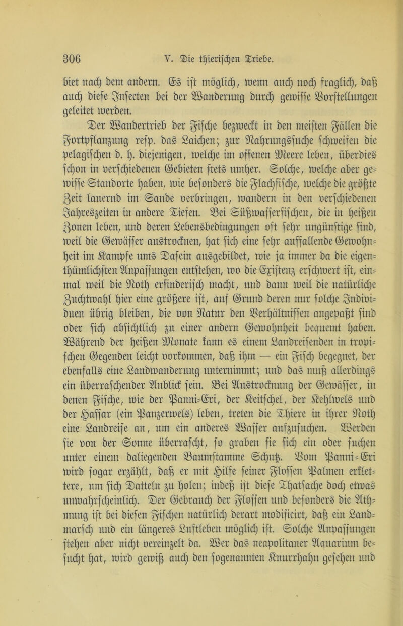 tuet ttacp bent crnbero. &§ ift möglicp, wenn and) nod) fraglid), bap aud) btefe Fnfecten bet ber SBanbermtg burcp gewiffe SSorftellungen geleitet werben. Ser SBanbertrieb ber gifepe beredt in ben weiften Ratten bie Fortpflanzung refp. ba§ Saiten; gur StaprungSfucpe fcpweifen bie pelagifd)en b. p. biejenigen, welcpe im offenen SJieere leben, überbieS fepon in oerf epiebenen (Gebieten ftet§ untper. ©otepe, welcpe aber ge= miffe ©tanborte pabett, wie befottberä bie Fladjpfcpe, welcpe bie gröpte ßeit lauernb im ©anbe oerbringen, manbern in ben oerfdjiebenett Sapre^geiten in anbere Siefen. 93ei ©üpwafferpfdjett, bie in peipett ßonett leben, unb bereu Sebendbebiitgungen oft fepr ungünftige fittb, weil bie ©eweiffer auStrocfnen, pat fiep eine fepr auffaltenbe @ewopn= peit im Kampfe um§ Safcin au^gebilbet, wie ja immer ba bie eigcn= tpümlicpften Slnpaffungen entftepen, wo bie Sriftenz erfepwert ift, ein= mal weil bie S^otp erfinberifd) ntaept, unb bann weil bie natiirlidje 3ud)tmapl pier eine größere ift, auf (Srunb beren nur foldfe 3nbioi= buen übrig bleiben, bie oon Statur ben SSerpältniffen angepapt fittb ober fiep abfidjtlid) zu einer anbertt ©etoopnpeit bequemt paben. SBäprenb ber peipett SJionate fattn e§ einem ßanbreifenben in tropi= fepen ©egenben leiept oorfommen, bap ipm — ein Fifd) begegnet, ber ebenfalls eine Sanbwanberung unternimmt; unb ba» mup aUerbings ein überrafepenber Slnblid fein. £3ei Slustrodnung ber ©ewäffer, in benen f^tfcdje, wie ber 'tßannüGrri, ber $eitfd)el, ber ®eplwel§ unb ber tpaffar (ein ^anzerwel§) leben, treten bie Spiere in iprer Stotp eine Saubreife an, um ein anbere§ SB aff er aufzufttdjen. SBerben fie oon ber ©onne überrappt, fo graben fie fid) ein ober fuepen unter einem baliegettben S3aumftantme ©djitp. Siont ^annüSri wirb fogar erzäplt, bap er mit tpilfe feiner Ftofpw Valuten ertlet= tere, um fiep Satteln zu polen; inbep ift biefe Spatfadje bod) etwas unwaprfdjeinlid). Ser (Bebraud) ber fytoffen unb befottbers bie Sltp= ntung ift bei biefett Fifpett natürlicp berart mobipeirt, bap ein Öanb= ntarfd) unb ein längere^ Suftleben möglicp ift. ©old)e Stnpaffungen ftepen aber niept oereinzelt ba. SBer bas neapolitaner Slquariunt be= fitdjt pat, wirb gewip attd) ben fogenanntett Änurrpapn gefepen unb