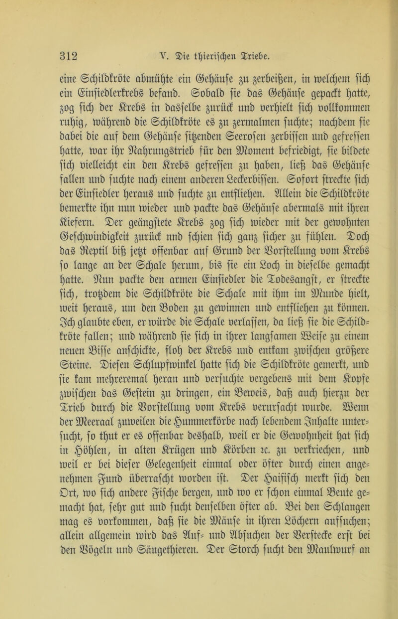 eine ©dptbfröte abmüpte ein (55et)äufe §u gerbeipen, in meinem fiep ein ©infiebterfrebS befanb. ©obatb fie baS ©epäufe gepacft patte, gog fid) ber Strebs in ba^felbe gurüd nnb Derzeit fid) oodfommen rupig, mäprenb bie ©d)itbfröte eS 51t germatmen fud)te; nacpbem fie babei bie auf bem (55et)äufe fifcenben ©eerofen gerbiffen uub gefreffen batte, mar ipr 9M)rungStrieb für ben Moment befriebigt, fie bitbete fid; oiedeidjt ein ben Strebs gefreffen gtt paben, liep baS ©epäufe faden nnb fud)tc nad) einem anberen Sederbiffen. (Sofort ftredte fid) ber ©inftebler perauS uub fudjte 51t entfliehen. Mein bie ©cpilbfröte bemerfte ipn nun mieber unb padte baS ©epäufe abermals mit ipren liefern. $)er geängftete Strebs gog fid) mieber mit ber gemopnten ©efepminbigteit gurüd nnb fepien fid) gang fid;er git füpten. ®ocp baS Pteptit bip jept offenbar auf ©runb ber Sßorftedung oont förebS fo lange an ber ©djate per um, bis fie ein Sod) in biefetbe gemaept patte. 9hm padte ben armen ©infiebter bie XobeSangft, er ftredte fiep, tropbem bie ©d)itbtröte bie ©d)ate mit ipnt im ÜDhtnbe piett, meit perauS, um ben SBoben gu gemimten unb entfliegen 51t fönnen. Sdj glaubte eben, er mürbe bie ©d)ate oertaffen, ba tief) fie bie ©d)itb- fröte faden; unb mäprenb fie fid) in iprer tangfamen SBeife 31t einem neuen S3iffe anfd;idte, ftop ber Strebs unb enttarn §mifd;en größere ©teine. liefen ©eptupfmintet patte fid) bie ©epitbfröte gemertt, unb fie tarn ntepreremat perau unb oerfitcpte oergebenS mit bem £'opfe gmifdjen baS ©eftein gu bringen, ein SBemeiS, bap and) piergu ber Srieb burd) bie Sßorftedung oom Strebs oerurfad)t mürbe. Söenn ber ÜUieeraal gumeiten bie §ummertörbe nad) lebenbem Snpatte untere fuept, fo tput er eS offenbar beSpatb, meit er bie ©emopnpeit pat fiep in §öpten, in atten trügen nnb Störben tc. gu üertrieepen, unb meit er bei biefer ©elegenpeit einmal ober öfter bnrd) einen ange= nepmen gunb überrafd)t morbett ift. SDer §aififd) ntertt fid) ben Ort, mo fiep anbere $ifd)e bergen, unb mo er fd)on einmal 93eute ge= mad)t pat, fepr gut unb fuept benfetben öfter ab. Söei ben ©cplaitgen mag eS oorfomnten, bap fie bie üüttäufe in ipren Södjent auffud;en; allein allgemein mirb baS 5Iuf= unb 9lbfud)en ber SSerftede erft bei ben Vögeln unb ©äugetpieren. ®er ©tord) fitd)t ben dJtautmurf an