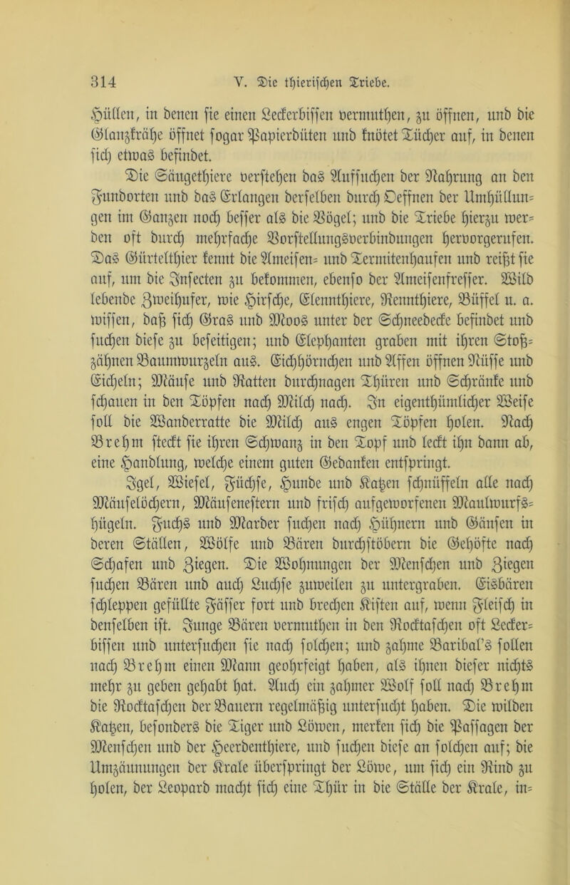 §ü(leit, in benen fie einen Secferbiffen tiermuten, zu öffnen, unb bie ©laitzfräpe öffnet fogar (ßapierbüten unb fnötet Xüdjer auf, in benen fiel) eüna§ befinbet. Xie (Säugetiere tierftepen ba§ 2(nffiteren ber (ftapruug an ben Sunb orten nnb ba§ (Erlangen berfetben bnrd) Deffnen ber Umpüttum gen int ©ankert nod) beffer at§ bie 93öget; nnb bie Xriebe £)ier§n toer* ben oft bnrd) metjrfadje ißorfteltungStierbinbungen t)eroorgernfen. Xa* ©ürtettpier fennt bie5Imeifen= unb Xermitenpaufen nnb reißt fie anf, nm bie Sufecten zu betonuuen, ebenfo ber Stmeifenfreffer. SBitb tebenbe ßmeißufer, tute §irfd)e, (Stenntiere, tRennttjiere, 33itffet u. a. tuiffen, baß fit ©ra§ nnb äftoo§ unter ber Sdjrteebede befinbet nnb fndjen biefe zu befeitigen; nnb (Steppanten graben mit it)ren Stoß= Zäpnen 33aumtuurzetn ans. (Sidfpörndjen unb Stffeit öffnen iJiüffe unb (Sidfettt; tOtäufe unb Üiatten bitrtnagen Xpüren nnb ©tränte unb ftauen in ben Xöpfeit nad) ÜDiitd) nad). Sn eigentt)ümtid)er äöeife fott bie SBanberratte bie tDfttd) au§ engen Xöpfen poten. 9Tad) 33repnt ftedt fie it)ren ©ttuanz in ben Xopf unb tedt iptt bann ab, eine fpanbtung, mette einem guten (Gebauten entfpringt. Sget, SBiefet, gütfe, §nnbe nnb £’a|en fcfjnüffein alle nad) 9Xtäufelüd)crn, SDZäitfeneftern unb frifd) aufgemorfenen dJtautmurf§= bügeln. Satdjs unb ÜDiarber futen nad) £)üpnern unb ©änfen in bereu Stätten, Söötfe nnb 93ären burd)ftöbern bie ©epöfte nad) Sd)afen unb ßtegen. Xie Söopnungen ber 9Jienfd)cn unb giegert fud)en 33ären nnb and) 2itd)fe zutoeiten 51t untergraben. (Sisbäreit fd)teppeit gefüttte $äffer fort nnb bred)cn Giften auf, tuemt $teift in benfetben ift. Sunge 33ären uermutt)cn in ben 9\odtafd)en oft Sccfer= biffen unb unterfuten fie nad) fotd)en; unb zapme 33aribaF§ fotteu nat 33ret)nt einen SJianit geot)rfeigt paben, at§ ipnen biefer nic£)t§ ntepr 51t geben gepabt pat. Stud) ein gapmer 3Botf fott nad) 33 rep nt bie tRodtafd)en ber dauern regelmäßig unterfudpt paben. Xie mitben ®aßen, befonberä bie Xiger unb Sötuctt, inerten fid) bie (ßaffagett ber 3ftenfd)en unb ber fpeerbentpiere, unb fnd)en biefe an fotdfen anf; bie Umzäunungen ber (träte überfpringt ber ßötue, um fid) ein 9Unb zu poten, ber Seoparb mad)t ftd) eine Xpür in bie Stätte ber (träte, in=