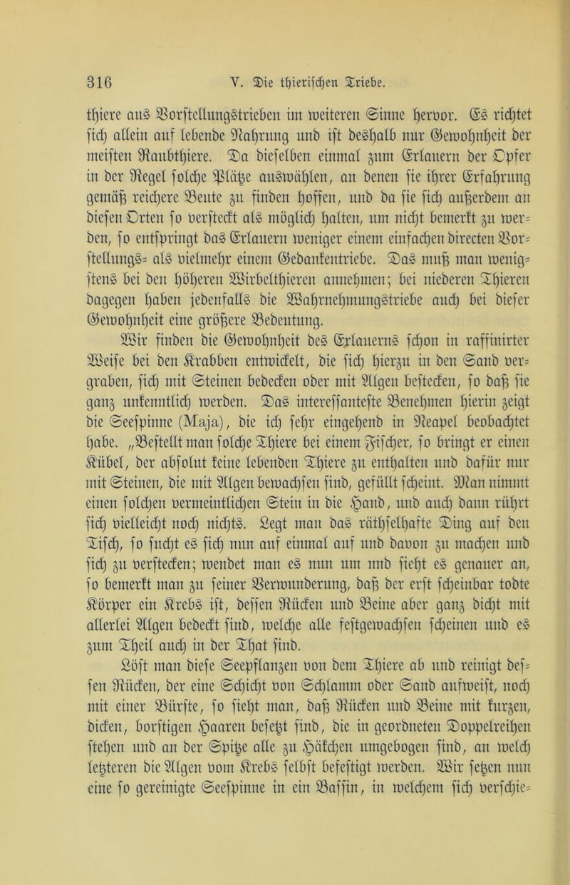 tpiere aus SorftellungStrieben im meiteren ©tune peroor. @S richtet ftdf) allein auf lebenbe fftaprung itnb ift beSpalb nur ©emopnpeit ber meiften fftaubtpiere. Sa biefelben einmal gum ©dauern ber Opfer in ber Siegel fotdpe ?ßlä^e auSmäplen, an benen fie tprer ©rfaprung gemäp reichere Seute gtt fiuben hoffen, unb ba fie fiel) aujjerbem an biefen Orten fo oerftedt als möglid) galten, um niept bemerft 51t mer= ben, fo entspringt baS ©dauern meniger einem einfachen birecten S5or= ftetlungS= als oietmepr einem ©ebanfentricbe. SaS mit ft man menig- ftenS bei beit pöperen SMrbeltpiercn annepmen; bei nieberen Öfteren bagegen paben jebettfallS bie SßaprnepmungStriebe and) bei biefer ©emopnpeit eine größere Sebeutung. 2öir finben bie ©emopnpeit beS ©jdauernS fepon in raffinirter SBeife bei ben Krabben entmidelt, bie fid) f)iergn in ben ©attb oer= graben, fid) mit ©teinen bebeden ober mit tilgen befteden, fo baff fie gang unfenntlidj merben. SaS intereffantefte Senepnten hierin geigt bie ©eefpittne (Maja), bie id) feljr eingepeitb in Neapel beobad)tet pabe. „Seftellt man folcpe Spiere bei einem $ifcper, fo bringt er einen Ä'itbel, ber abfolut leine lebenben Spiere git enthalten unb bafür nur mit ©teinen, bie mit tilgen bemadjfen fittb, gefüllt f epeint. äftan nimmt einen folgen üermeintlid)en ©tein in bie §attb, unb aud) bann rüt)rt fid) oielleid)t itod) nicptS. Segt man baS rätpfelpafte Sing auf ben Sifd), fo fitd)t eS fid) nun auf einmal auf unb baoott 51t maepen unb fid) gu oerfteden; menbet matt eS nun um nnb fiept eS genauer att, fo bemerft man gu feiner Sermunberuttg, baff ber erft fdjeinbar tobte Körper ein förebS ift, beffen dtüden unb Seine aber gang bid)t mit allerlei tilgen bebedt fittb, melcpe alle feftgemaepfen fd)einen unb es gunt Speil ancf) in ber Spat fittb. Soft man biefe ©eepflangeu 001t bettt Spiere ab unb reinigt bef= fett fftüden, ber eine @d)id)t oon ©cplamnt ober ©anb aitfmeift, itod) mit einer Surfte, fo fiept man, bap fftüden unb Seine mit furzen, biden, borftigen paaren befept finb, bie in georbneten Soppelreipett ftepen unb an ber ©pipe alle 51t .fpälcpen umgebogen finb, an meid) lepteren bie tilgen oout $rebS felbft befeftigt merben. SBir fepen nun eine fo gereinigte ©eefpinne in ein Saffitt, in melcpem fid) oerfepie^