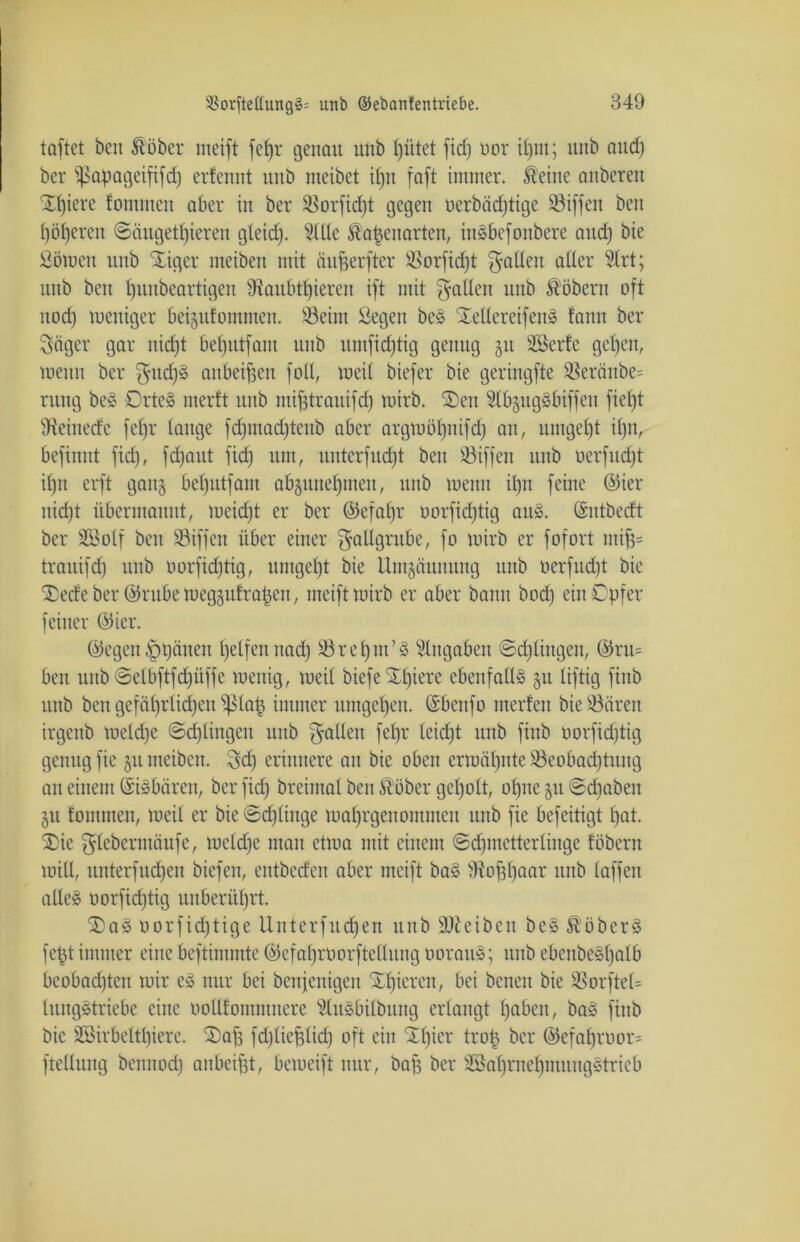 taflet beit Äöber ineift fei genau uttb fjütet ficf) oor il)tu; uitb aud) ber ißapageififd) erfennt unb meibet if)it faft immer, teilte anbereu Xf)iere fonnneu aber in ber $Borficf)t gegen oerbädftige 93iffen ben ()öt)cren (Säugetieren gleid). Me Äafcenarten, ittsbcfonbere and) bie Stirnen unb Xiger meiben mit äufjerfter Rorfidjt $alleit aller Slrt; unb ben Ijunbeartigeu Raubtieren ift mit fallen unb Äöbern oft nod) tteniger beigitfommen. töeint Segen be§ Xellereifenä tarnt ber Säger gar nidjt betjutfam unb umfidjtig genug §u Söerte gelten, ttenn ber $ucf)§ attbei^en foll, tteil biefer bie geringfte $eränbe= ruttg bes Drte§ mertt unb ntijjtrauifdj toirb. 2)en Mgug§biffen fiet)t Reinede fei' lange fd)tnad)teitb aber argtoöl)nifd) an, umgebt if)n, befinnt fid), fdjaut fid) um, unterfliegt beit Riffen uttb oerfud)t il)tt erft gang befjutfam abgittte^ruen, uttb meint il)tt feine ©ier itidjt übermamtt, toeidjt er ber ©efal)r oorfidjtig au§. ©utbedt ber SBolf ben Söiffen über einer Fallgrube, fo toirb er fofort ntii tranifcf) unb oorfidjtig, umgel)t bie Umzäunung unb oerfudjt bie ®ede ber ©rube ttegptrain, ineift toirb er aber bann bod) ein Opfer feiner ©ier. ©egen Spänen Reifen nad) 23 re put’§ Eingaben Schlingen, ©ru= ben uttb Selbftfdjüffe toettig, toeil biefe SL£)iere ebenfalls §u liftig fittb unb ben gefährlichen ißla| immer umgein. ©bettfo inerten bieSÖären irgenb toeldje Sdjlingeit unb Sollen fei leidjt unb fittb oorfidftig genug fic §tt nteibeit. Sd) erinnere au bie oben ermähnte 23eobad)tuitg an einem (Siöbäreit, ber fid) breimal ben Äöber geholt, oite §u @d)abett §tt tommen, toeil er bie Sdjlittge toai'genomntcu unb fie befeitigt pat. SDie $leberntäufe, tocldfe man ettoa mit einem Sdpnetterliuge töbern toill, unterfud)en biefen, entbeden aber meift ba§ Rof3paar ttttb laffen alles oorfidjtig unberührt. ®a§ oorfidjtige Unterfud)en ttttb Sßeiben be» ÄöberS fei immer eine beftimmtc ©efaprocrftellung oorauS; unb ebcnbeSl^alb beobad)teit mir e» nur bei benjenigett Vieren, bei betten bie RorfteU luitgStriebc eine oollfoittmitere Mäbilbttng erlangt pabett, baö fittb bie Söirbeltpiere. Saft fdjlieftlid) oft ein Spier troft ber ©efaproor= fteUuttg bennod) aitbeiftt, betoeift nur, baft ber 2Baftrneftmungstricb